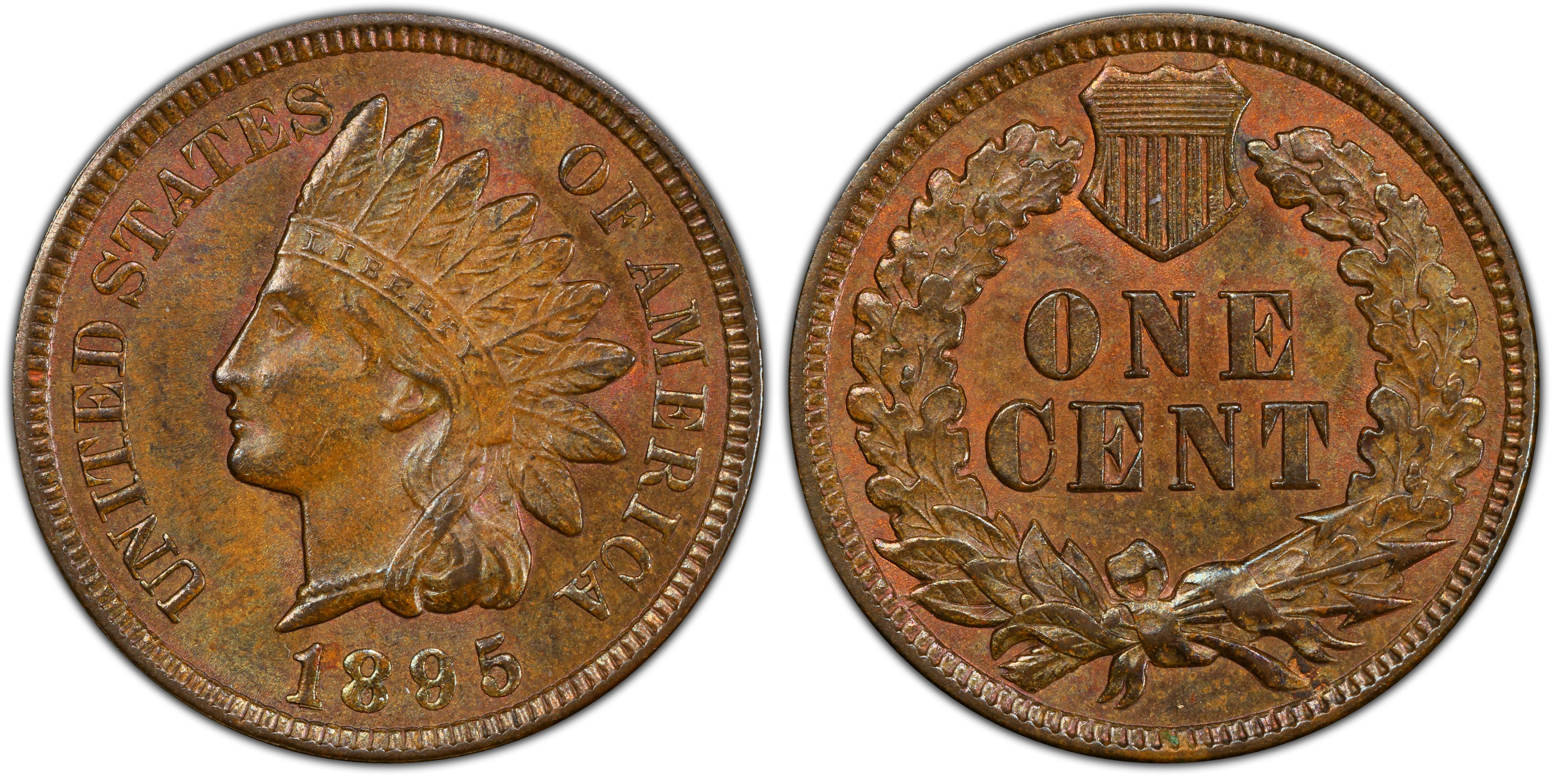 1895 1C RPD FS 302 S 9 BN Regular Strike Indian Cent PCGS CoinFacts