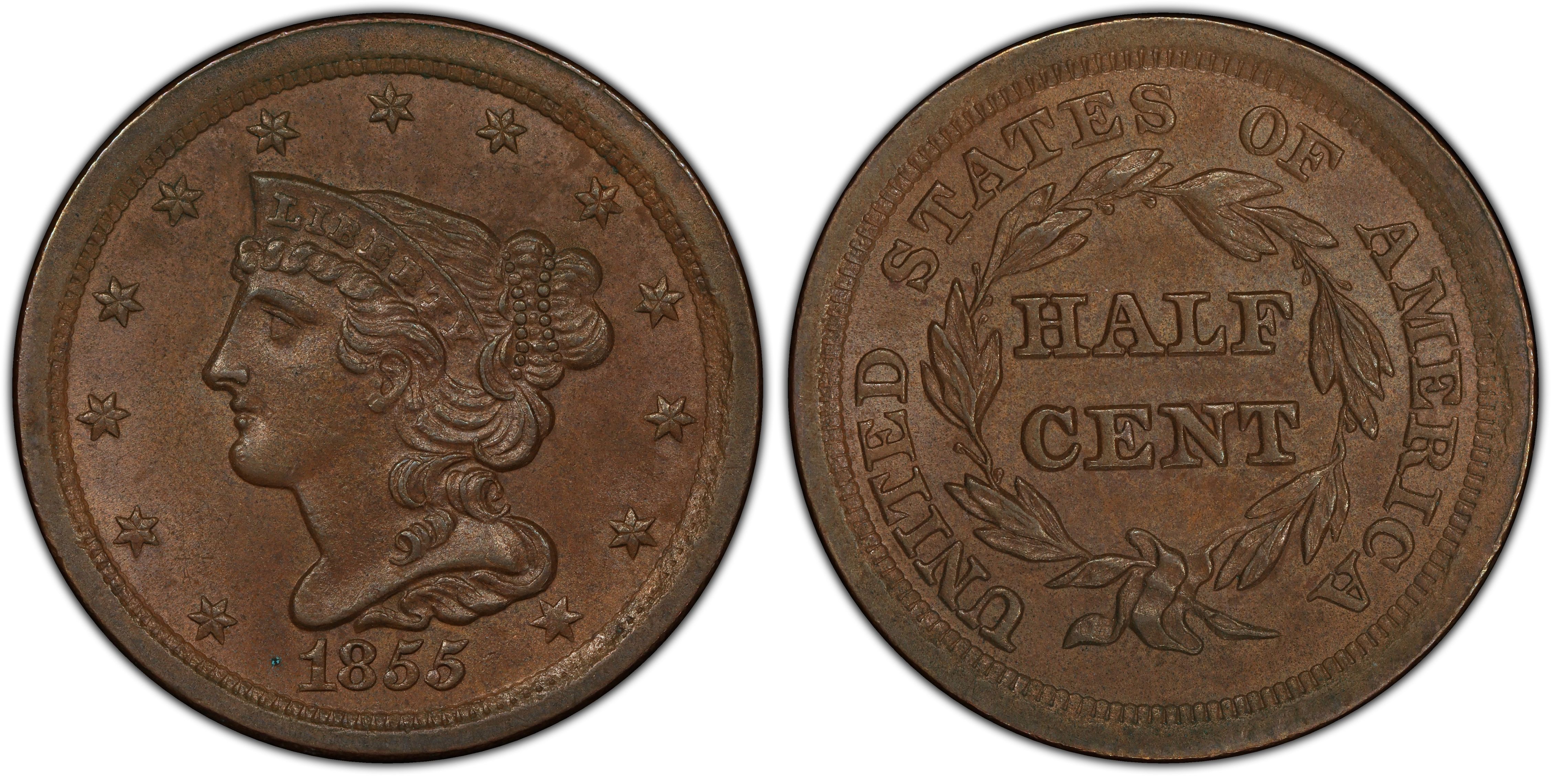 1855 1/2C, BN (Regular Strike) Braided Hair Half Cent - PCGS CoinFacts