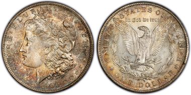 MS66 PCGS grade