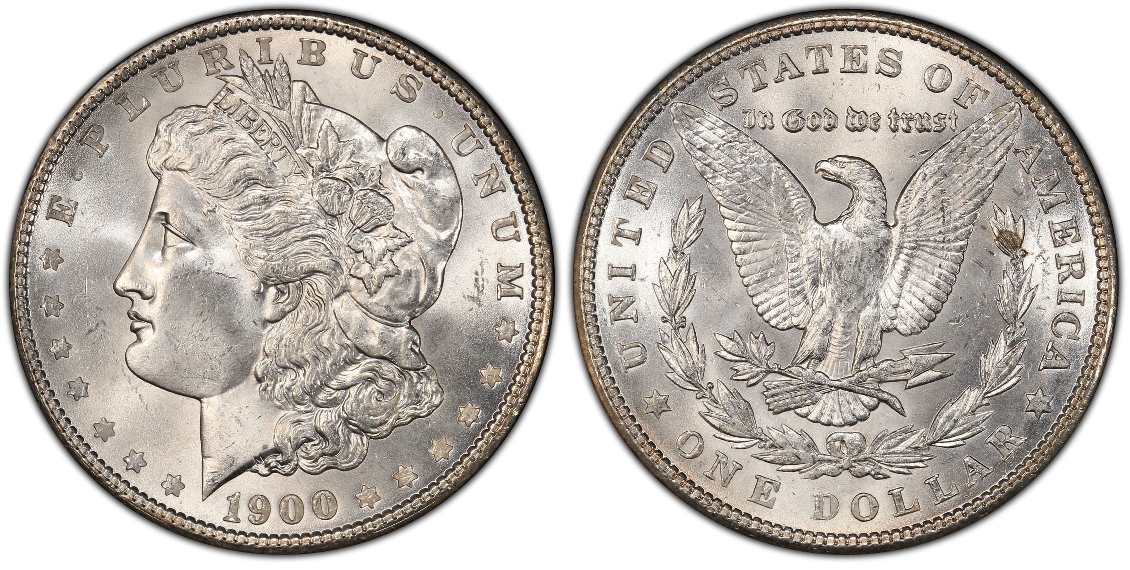 1900 $1 VAM 24 Doubled Wing (Regular Strike) Morgan Dollar - PCGS