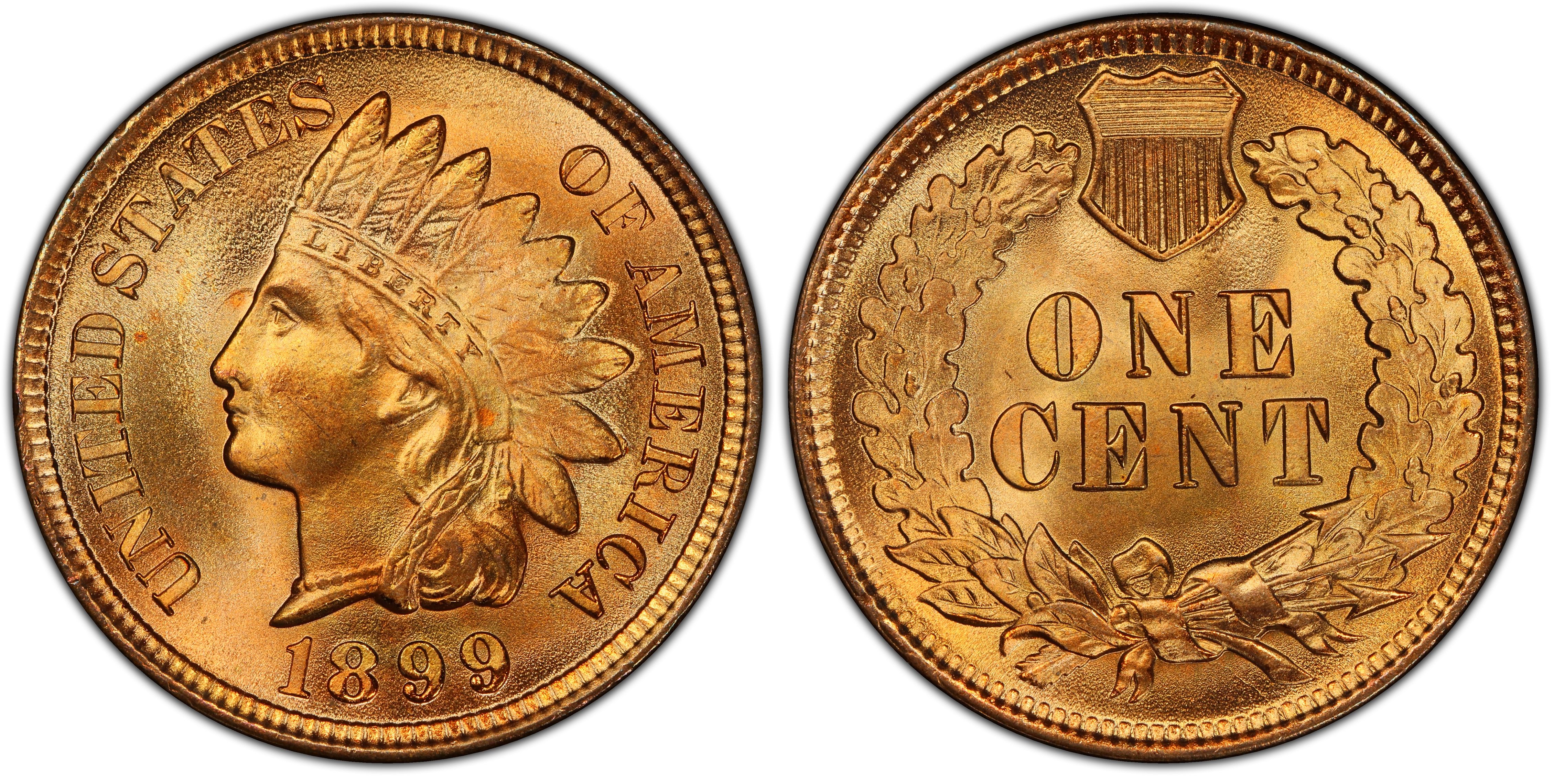 Indian Head Cent Full LIBERTY Full Rim 1c Fine to XF 1899 U.S 