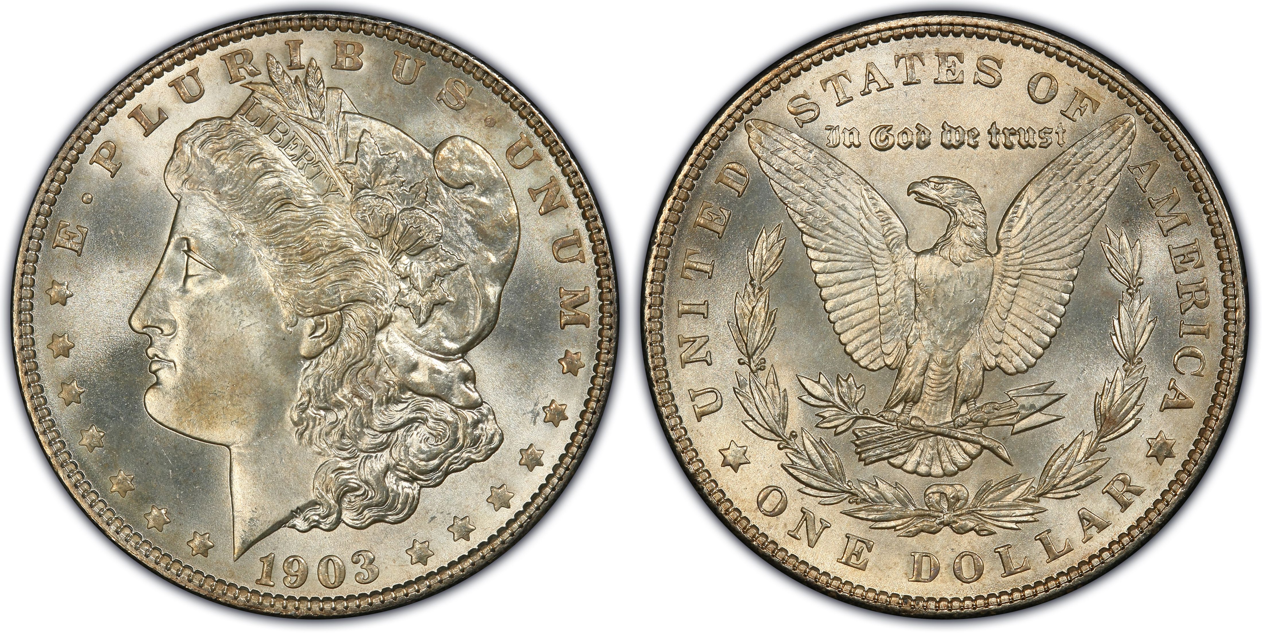 1903 $1 (Regular Strike) Morgan Dollar - PCGS CoinFacts