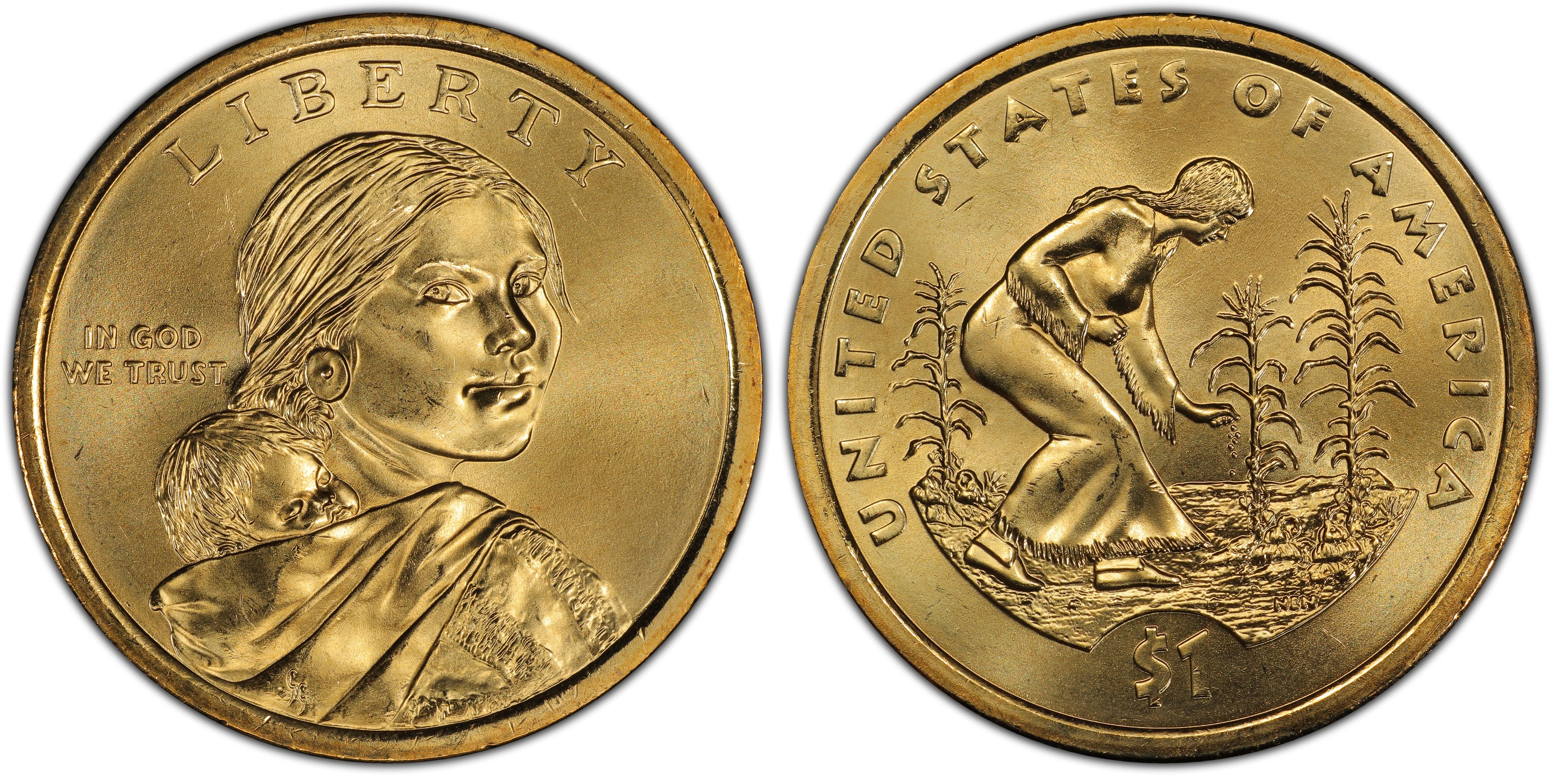 2009 D $1 Native American Golden Dollar Coin 