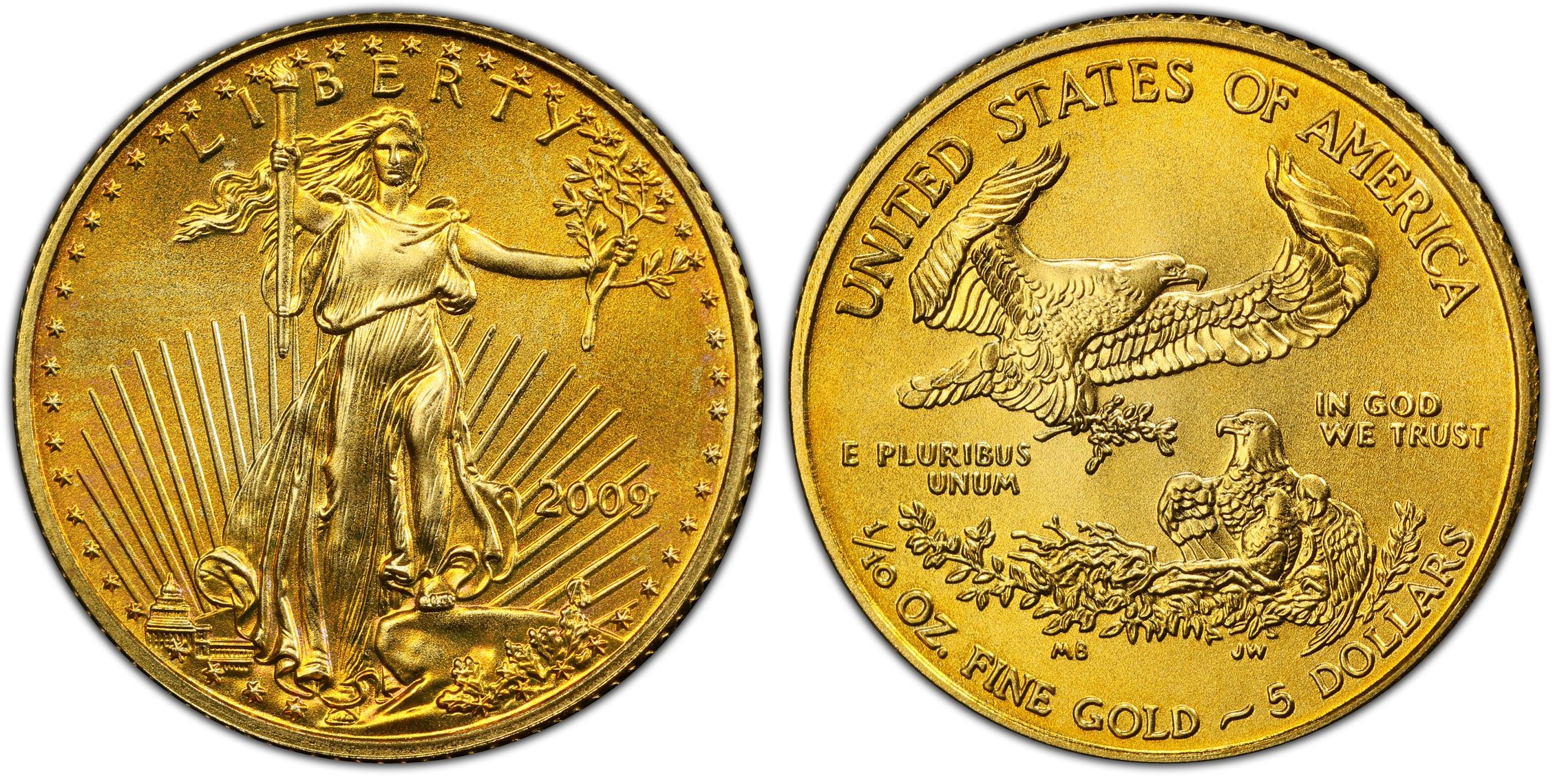 2009/アメリカ/イーグル/金貨/ゴールドイーグル/5ドル/PCGS/MS70