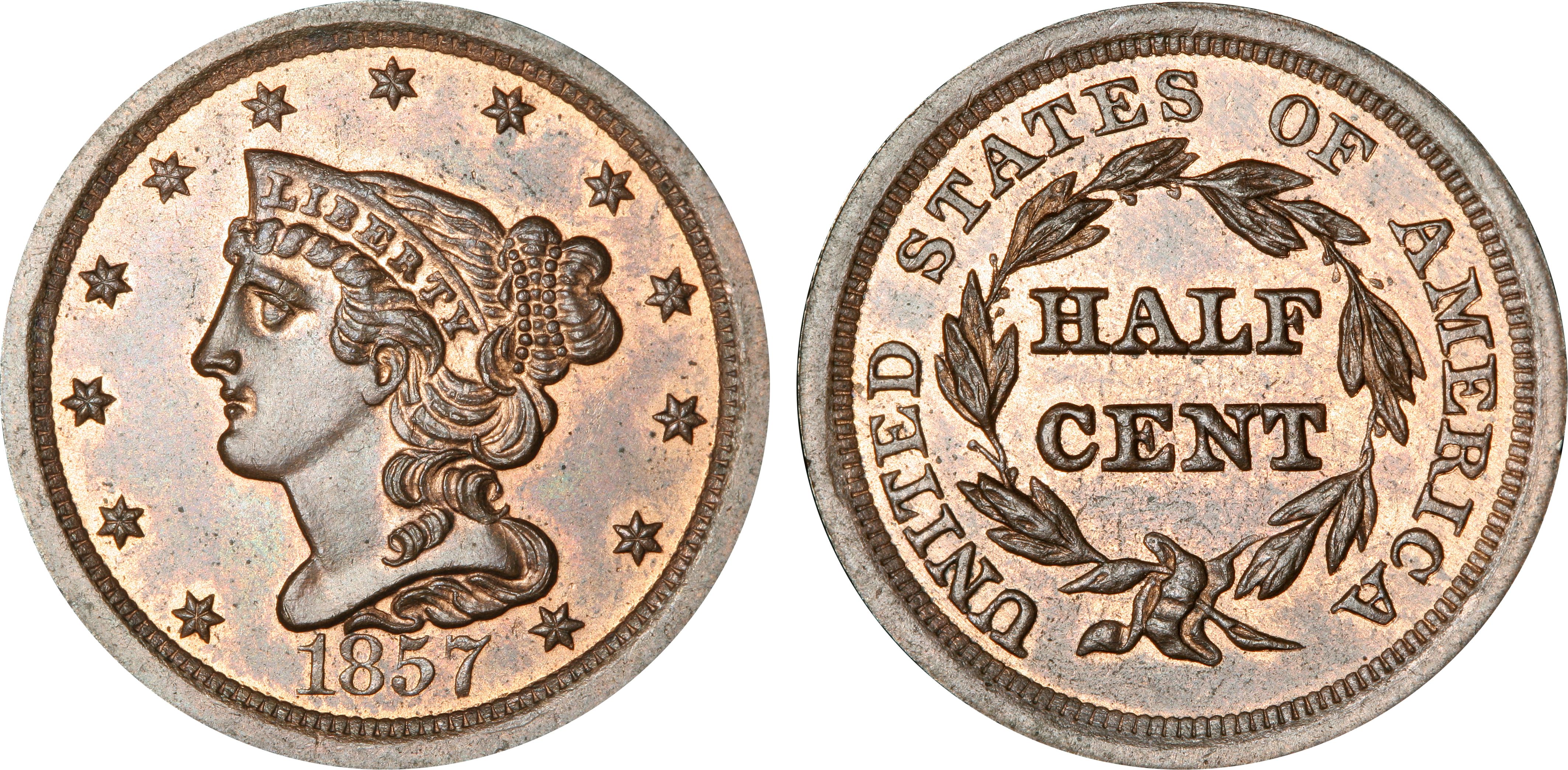 1851 1/2C Cohen 1, RB (Regular Strike) Braided Hair Half Cent - PCGS  CoinFacts