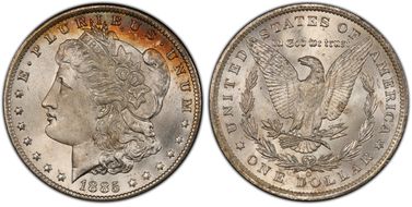 1885-O $1 (Regular Strike) Morgan Dollar - PCGS CoinFacts