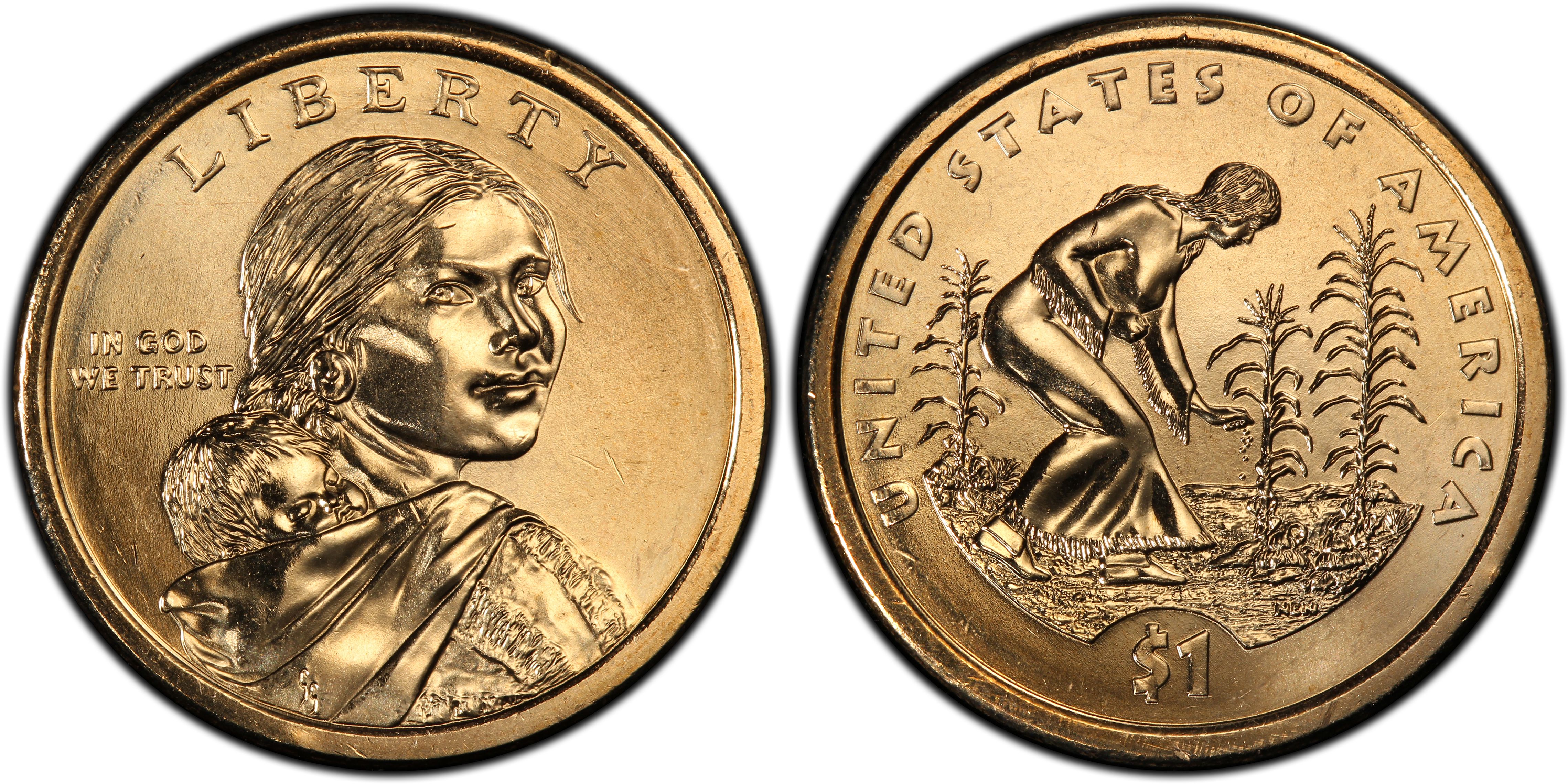 $1 Native American Golden Dollar Coin 2009 D 