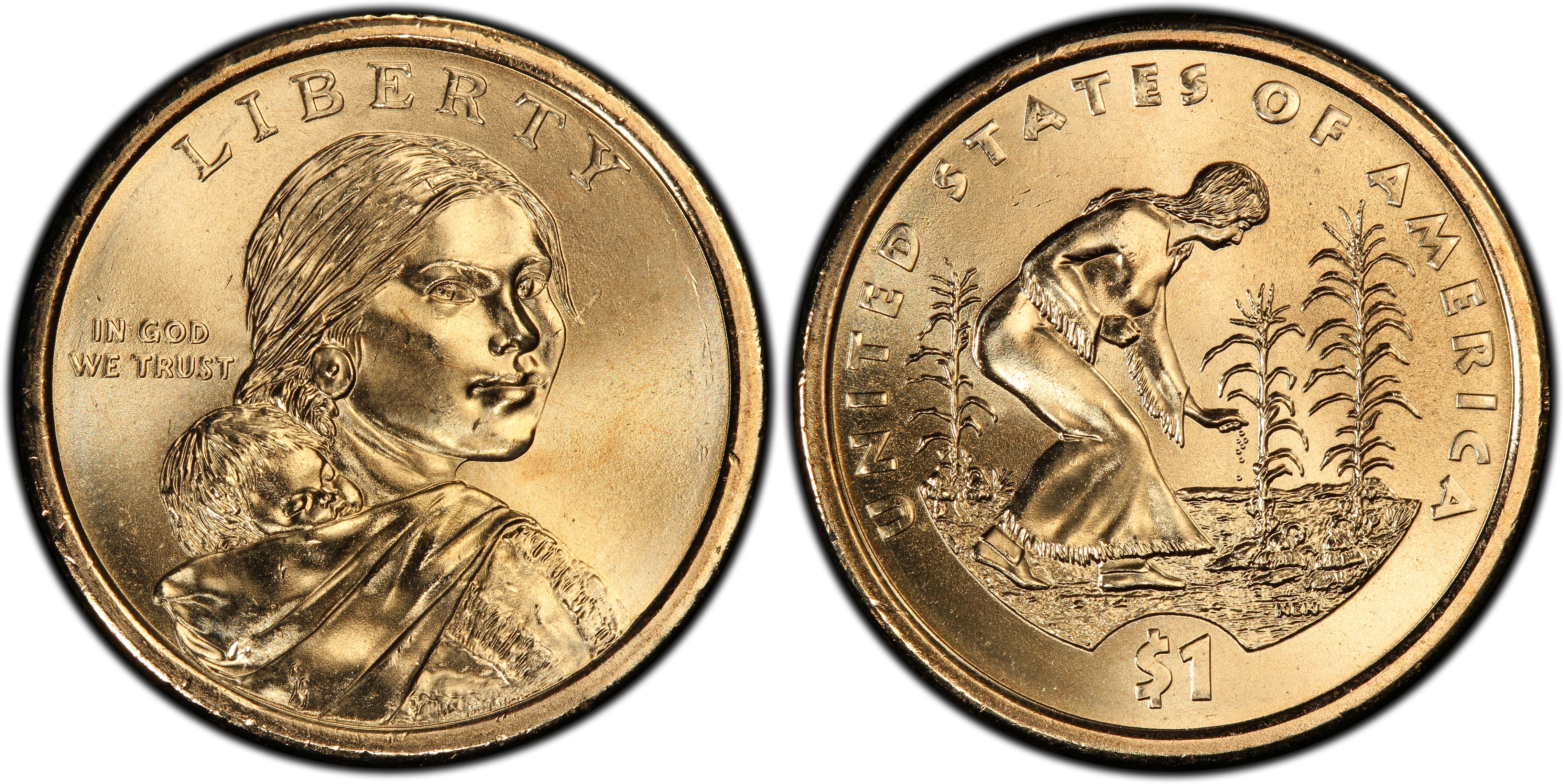 2009 P $1 Native American Golden Dollar Coin 