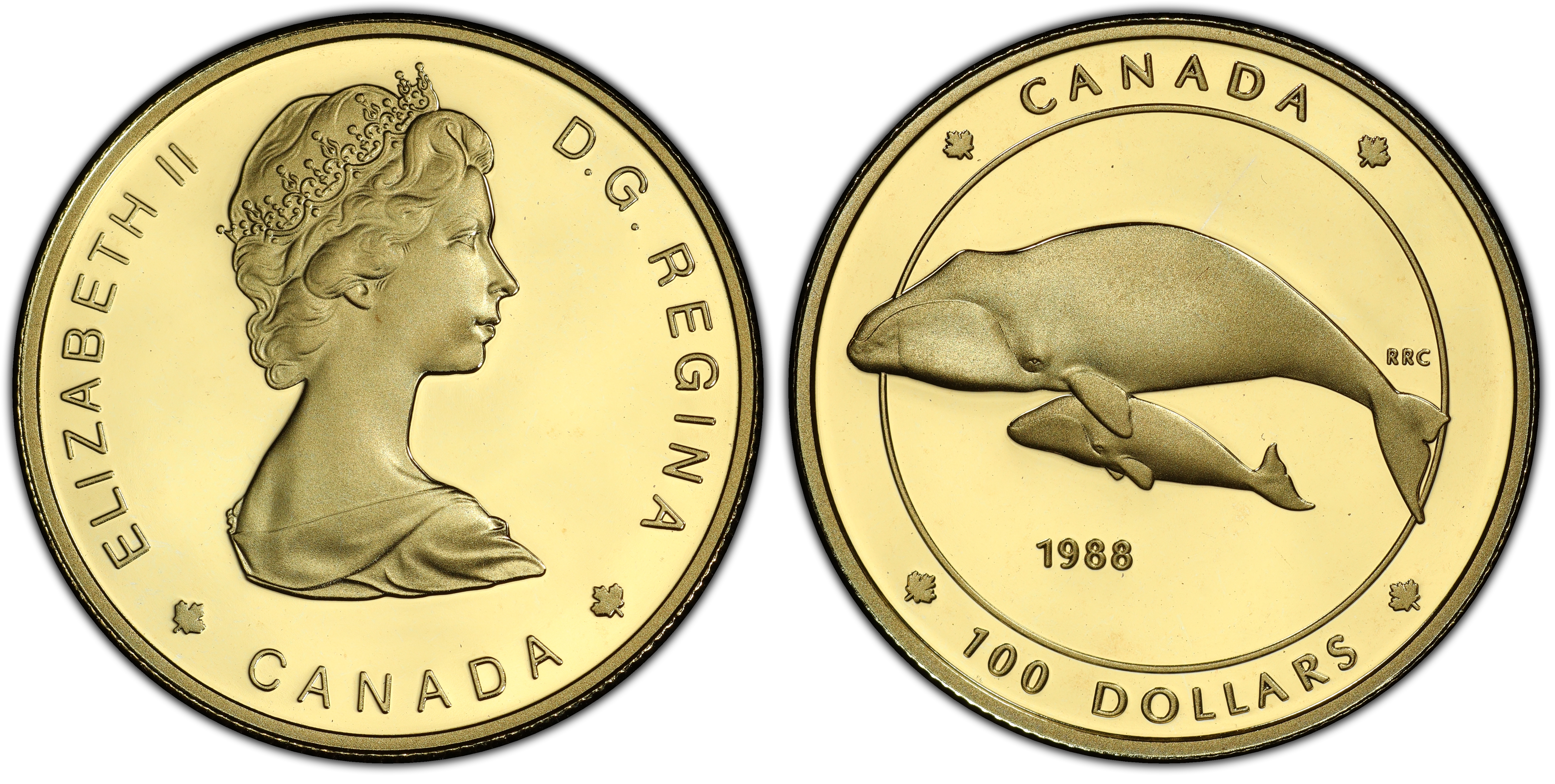 1988 $100 bowhead whales, dcam