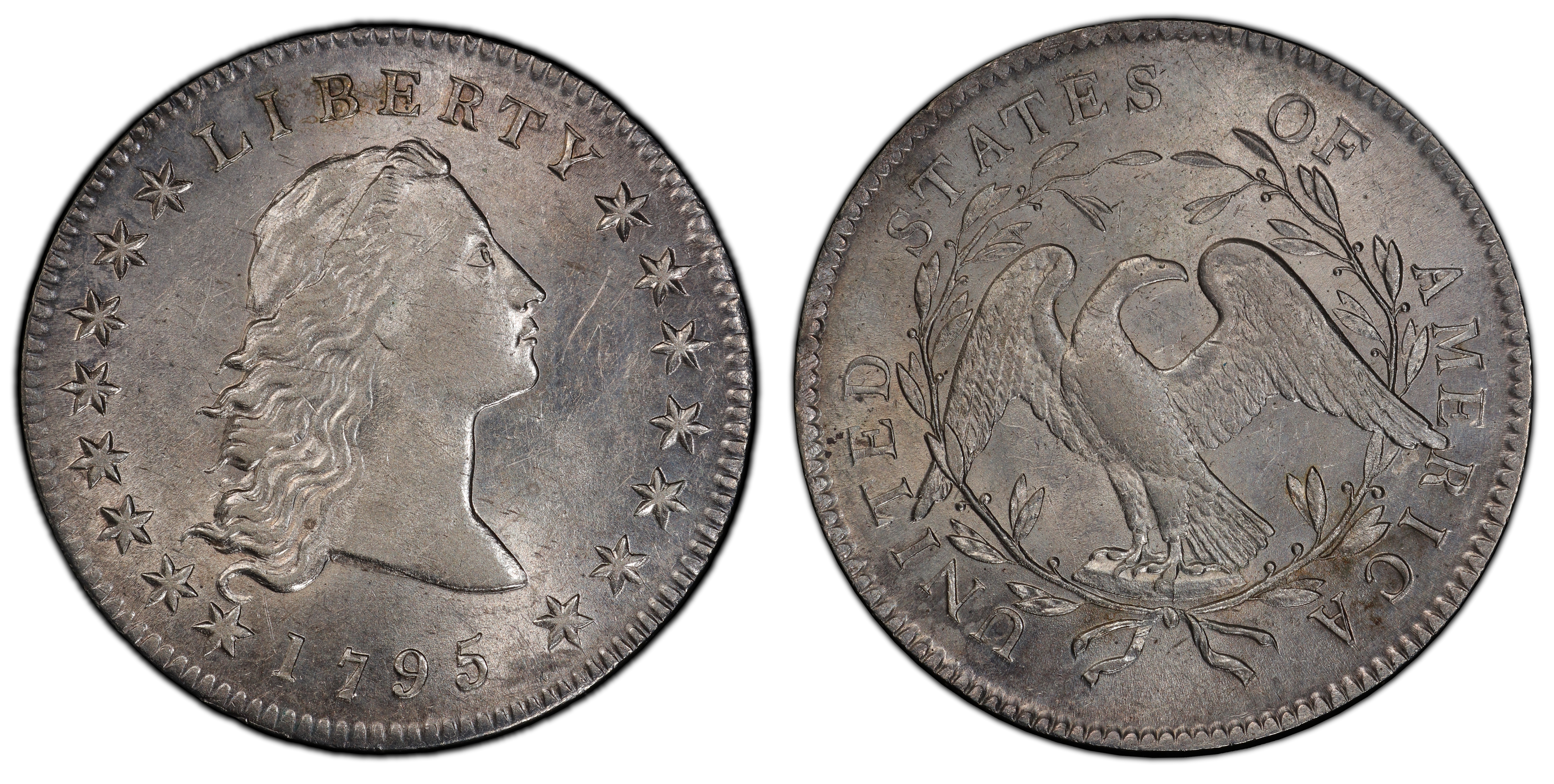 1795 1 Flowing Hair BB 21 Regular Strike Flowing Hair Dollar