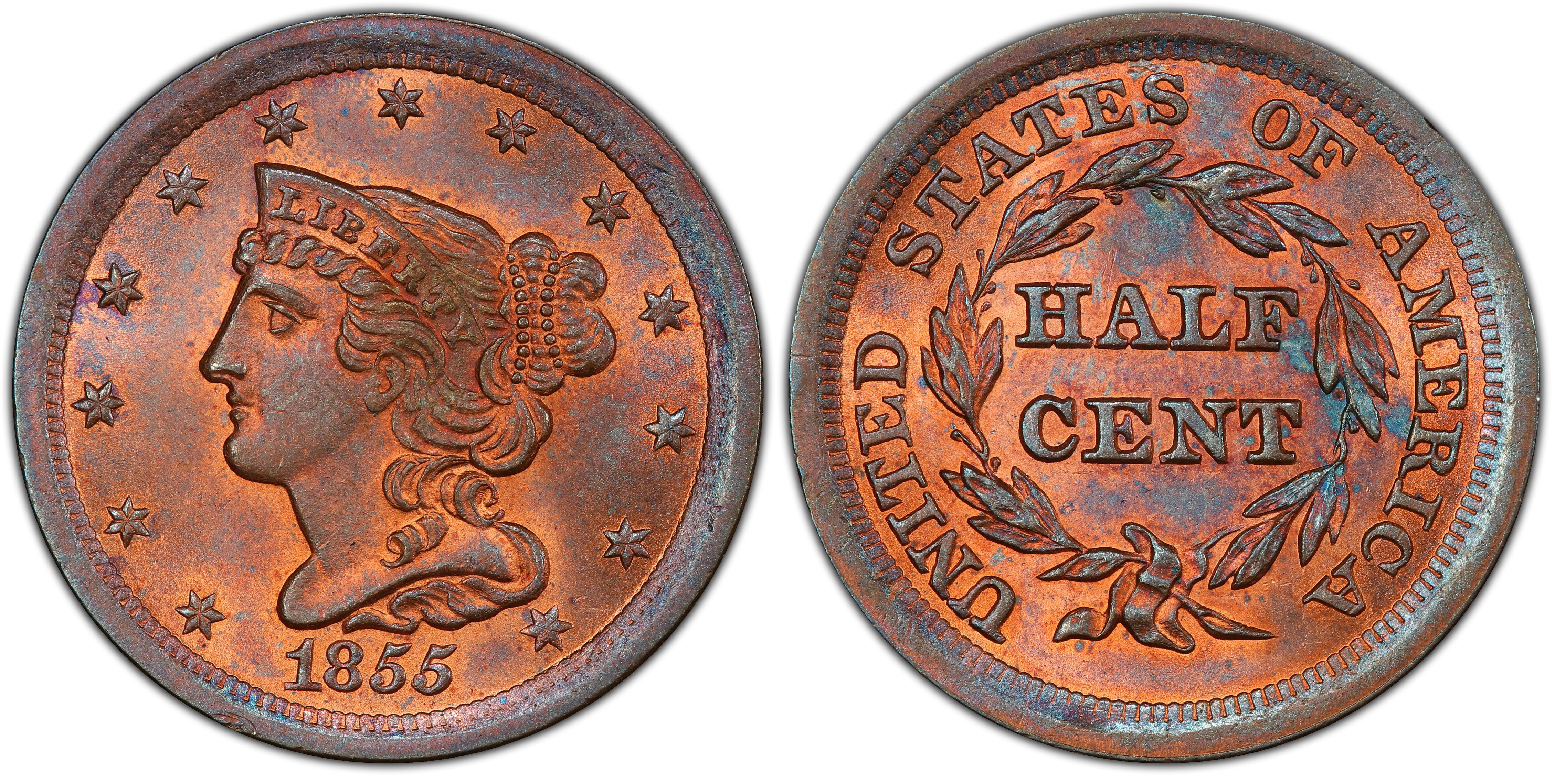 1855 1/2C, RB (Regular Strike) Braided Hair Half Cent - PCGS CoinFacts