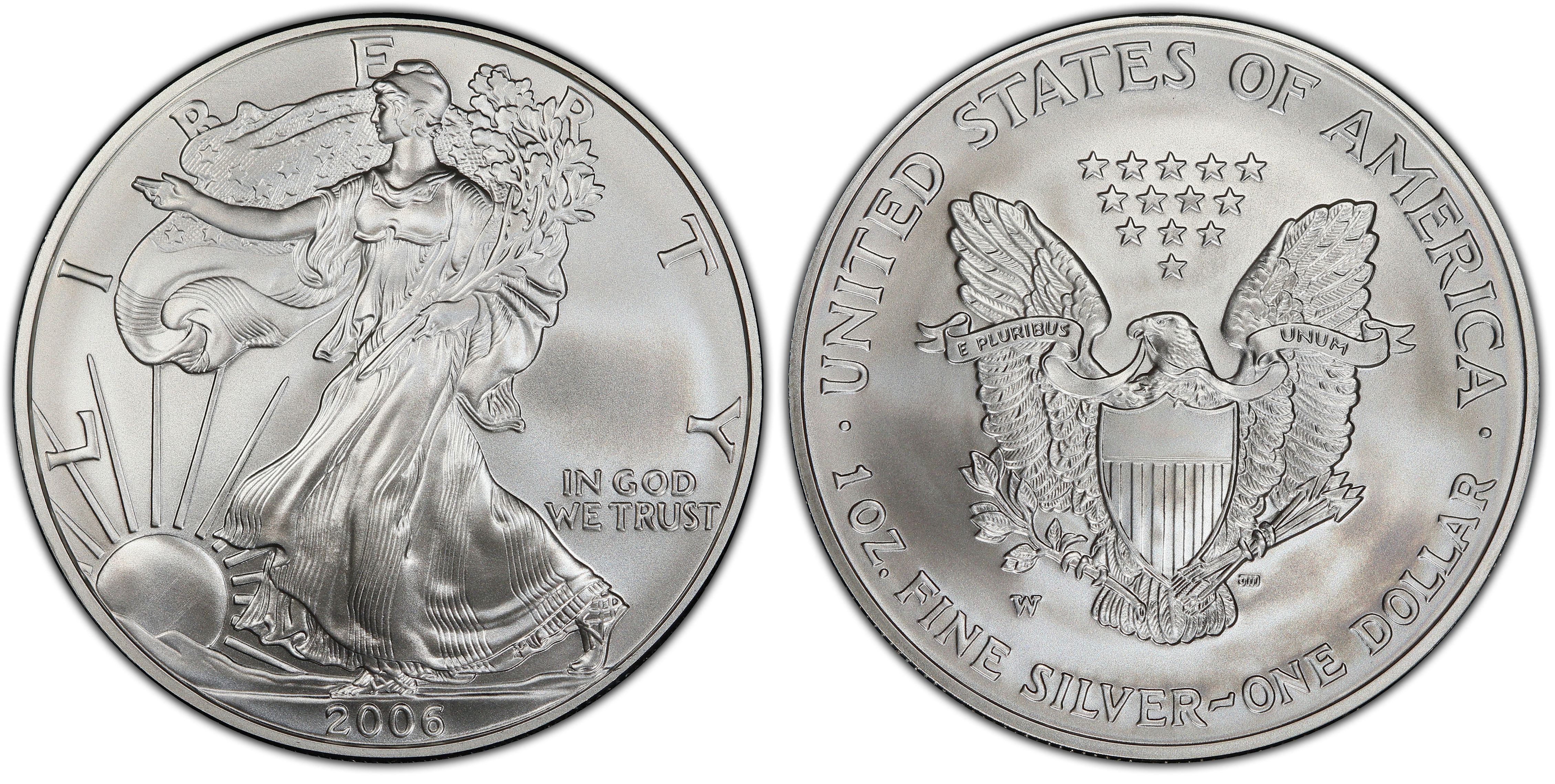 2006-W $1 Burnished Silver Eagle 20th Anniversary First Strike