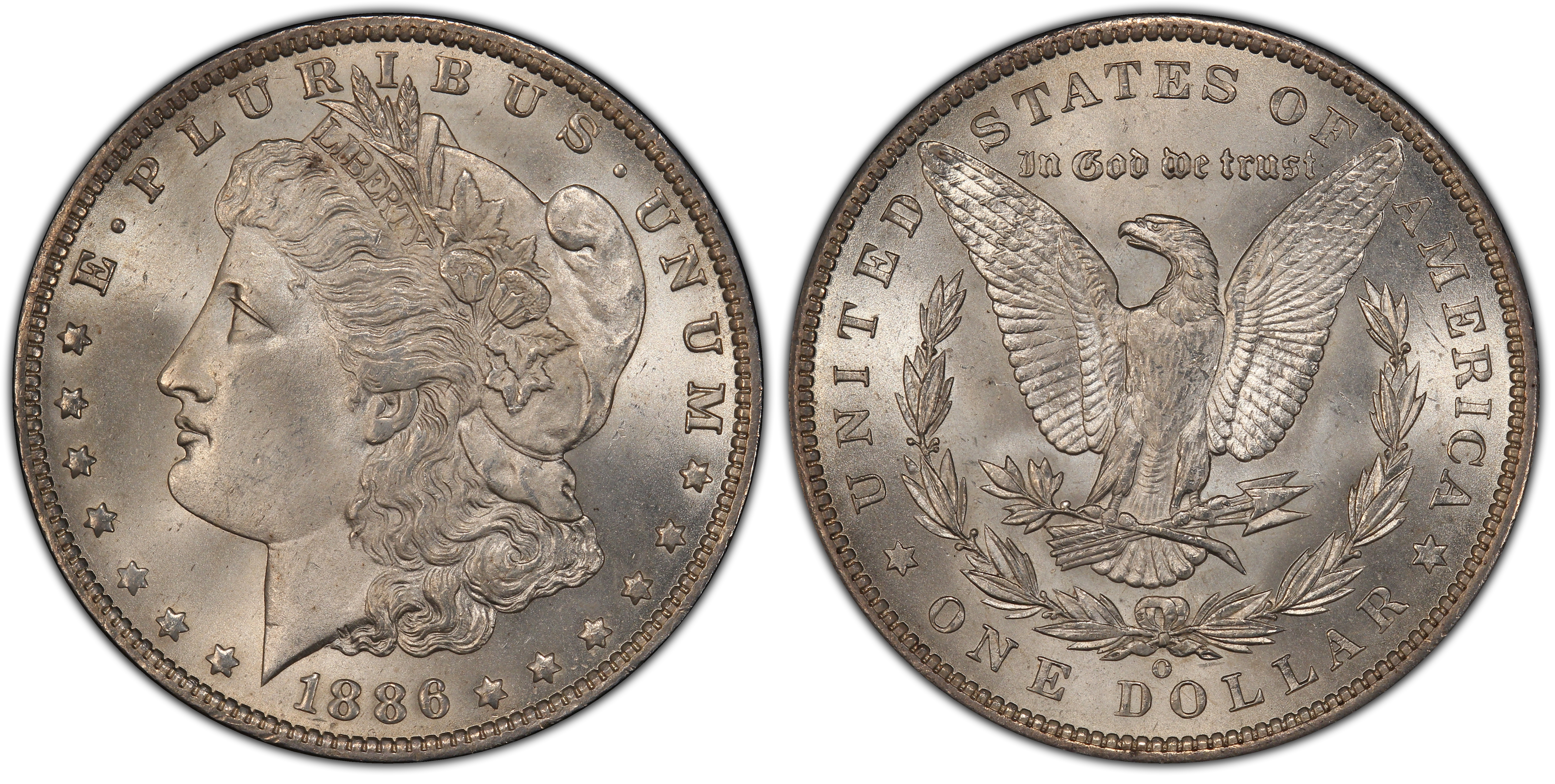 Ms66 + 1886 morgan 2024 silver dollar