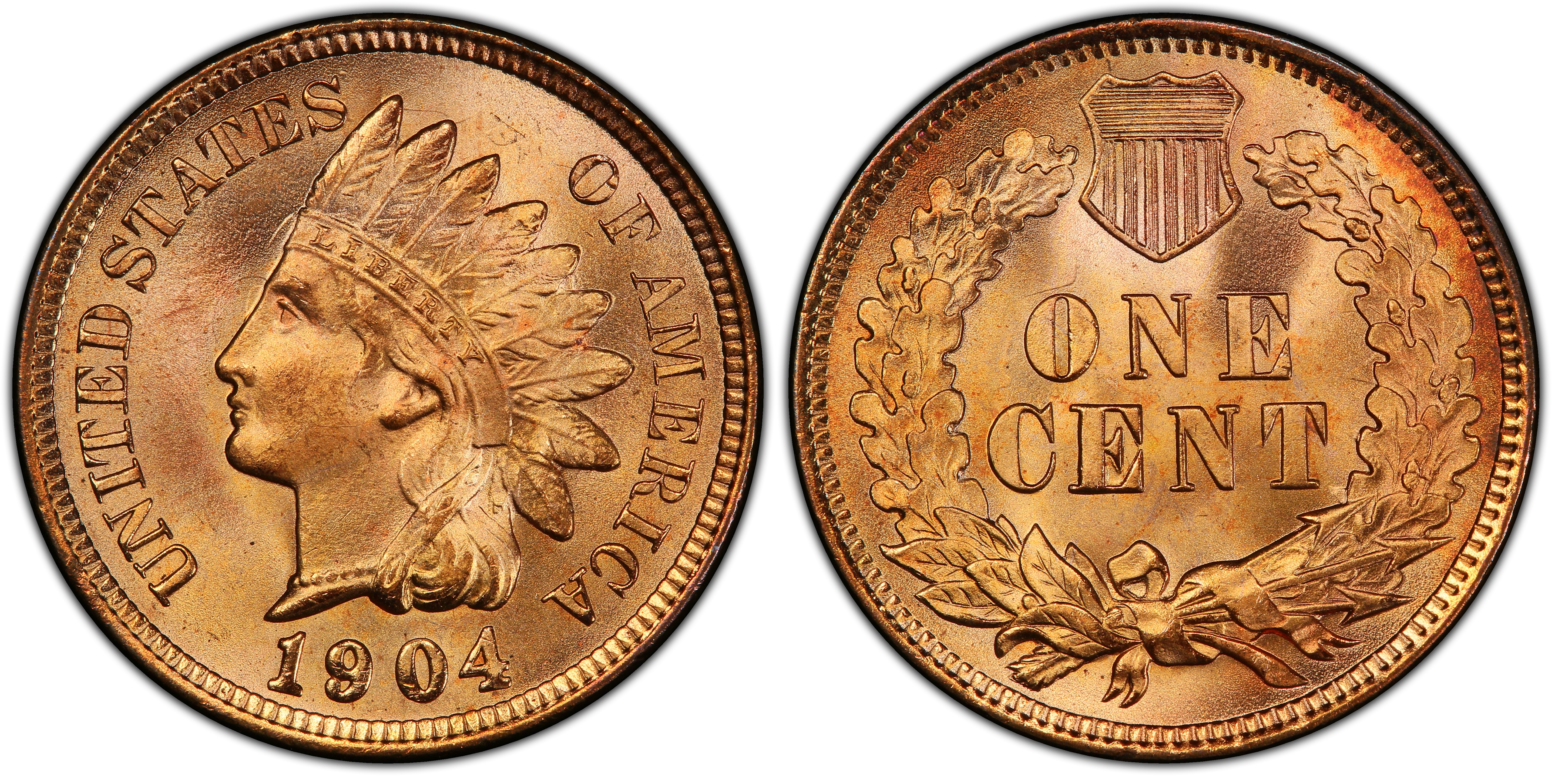 pcgs valueview | 1904 1c, rd (普通)