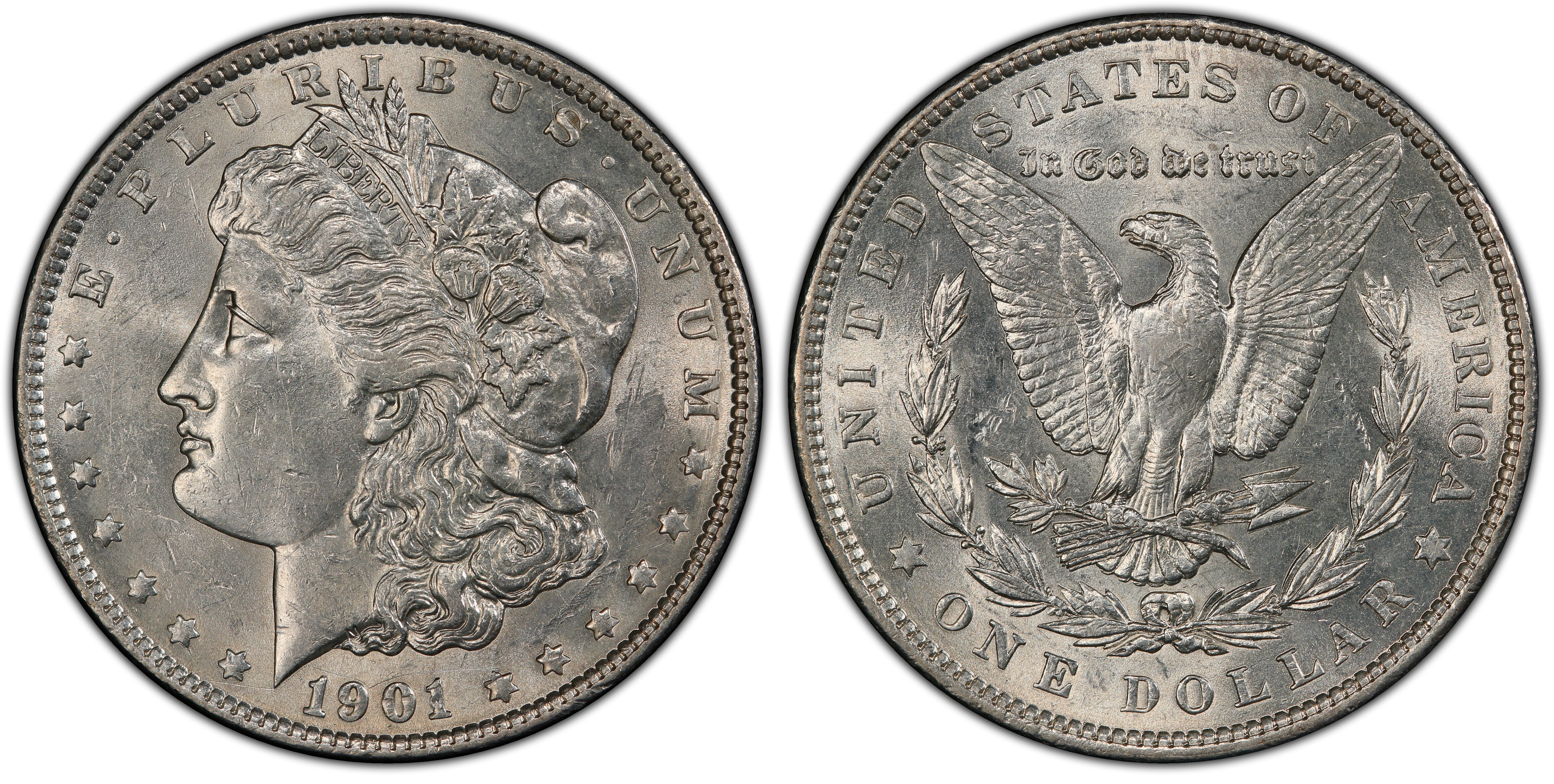 images-of-morgan-dollar-1901-1-doubled-die-reverse-pcgs-coinfacts