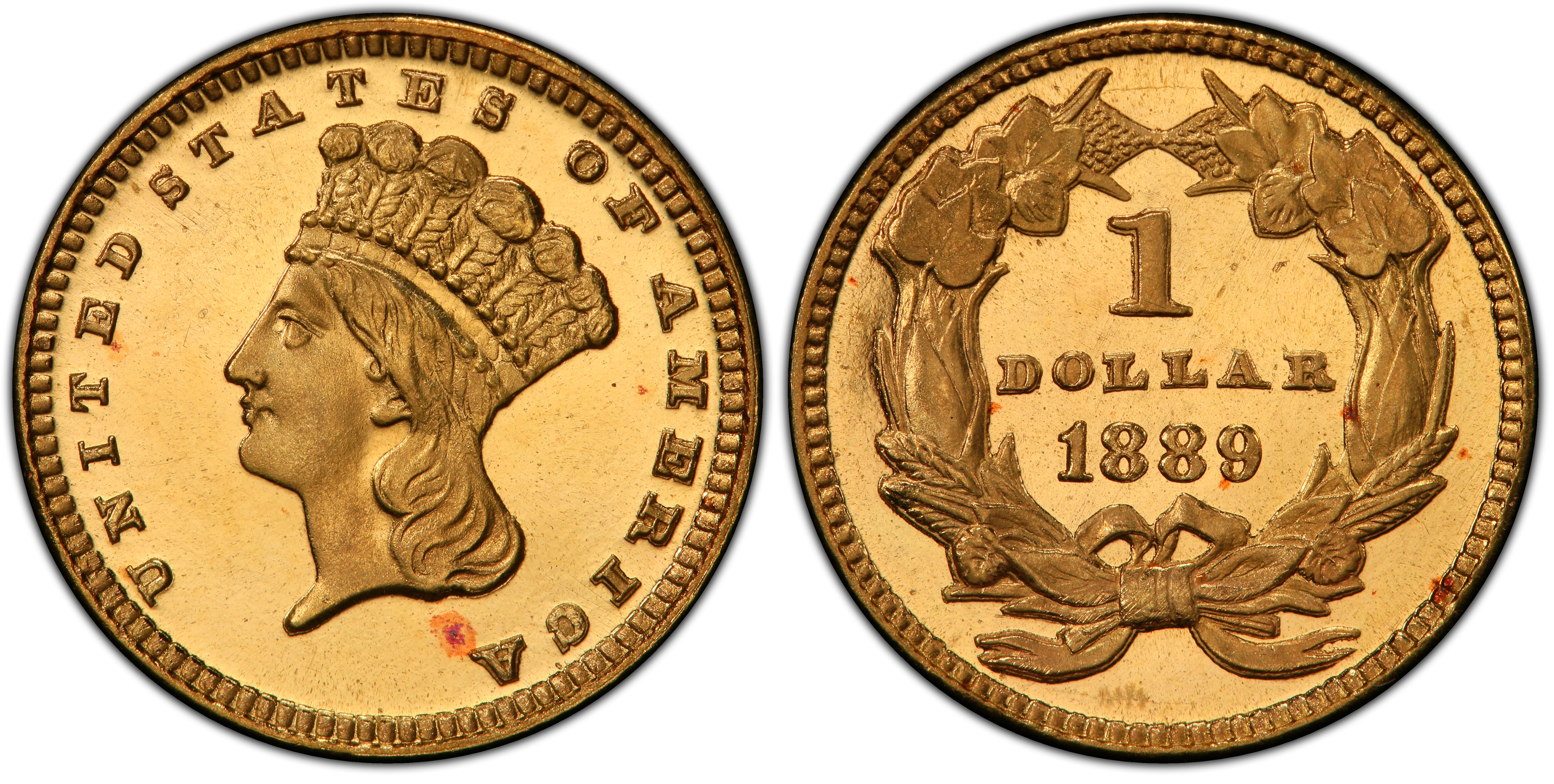 1889 G$1, CAM (Proof) Gold Dollar - PCGS CoinFacts