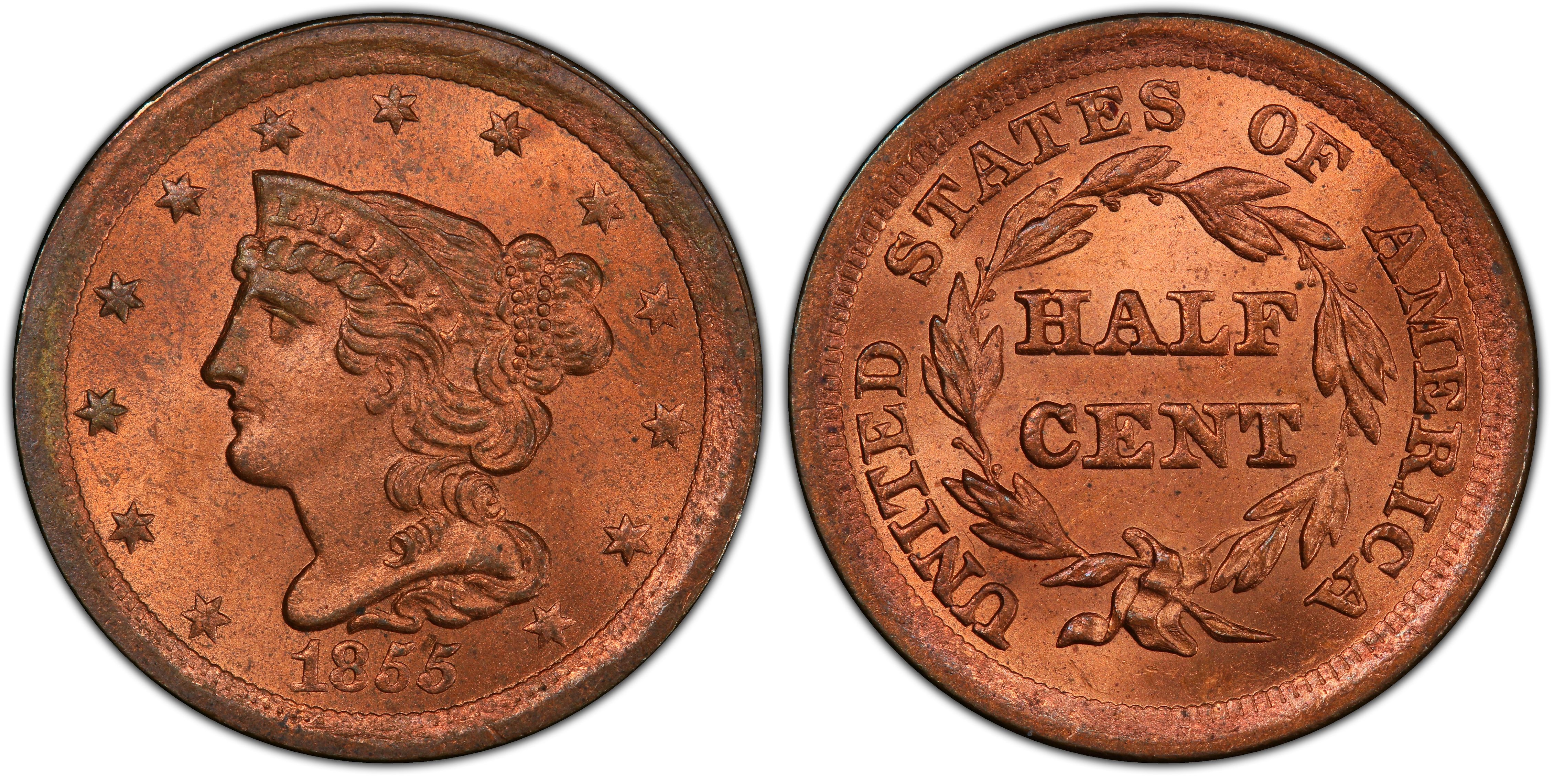 1855 1/2C, RD (Regular Strike) Braided Hair Half Cent - PCGS CoinFacts