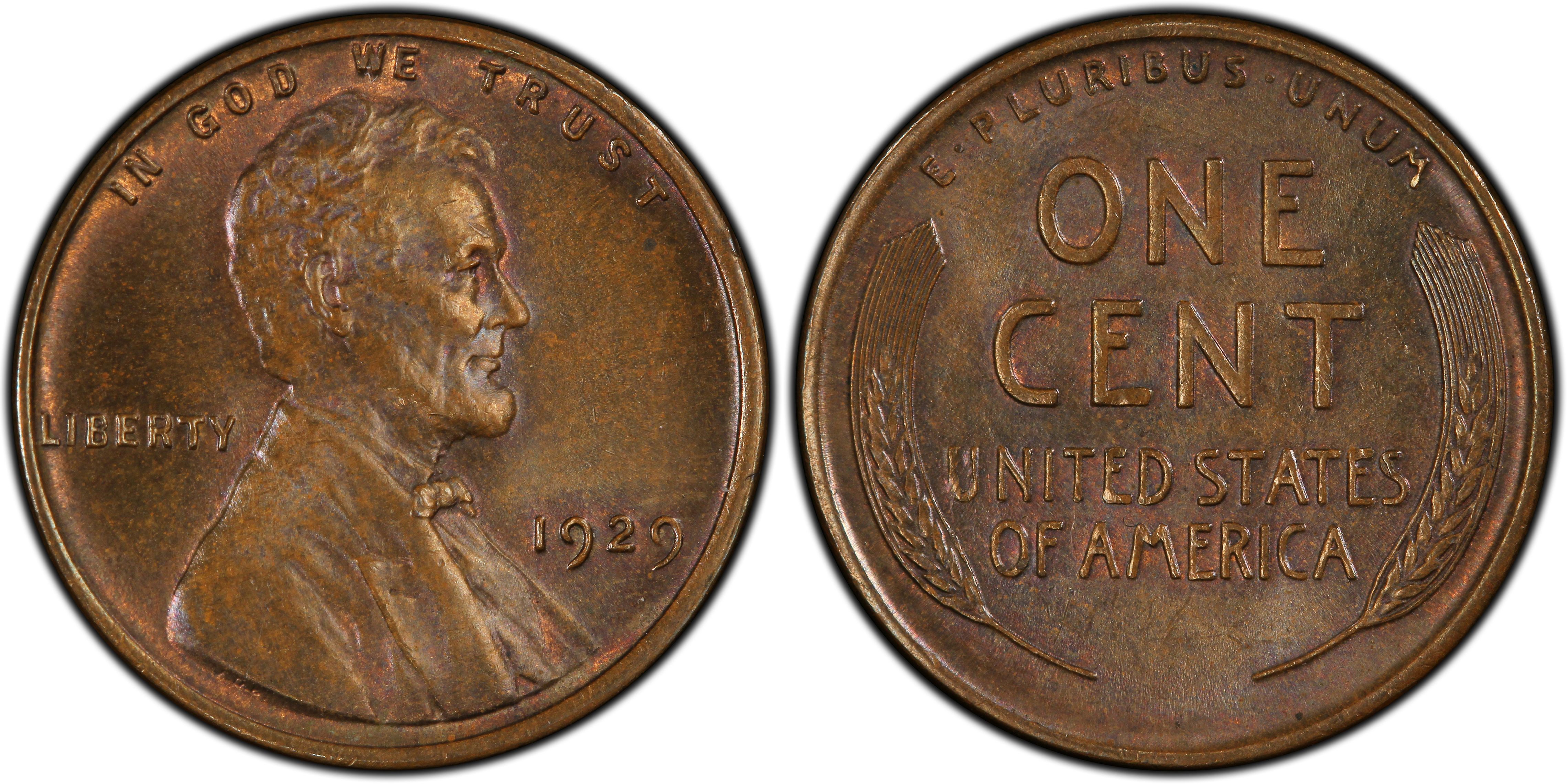 1929 1c Bn Regular Strike Lincoln Cent Wheat Reverse Pcgs Coinfacts
