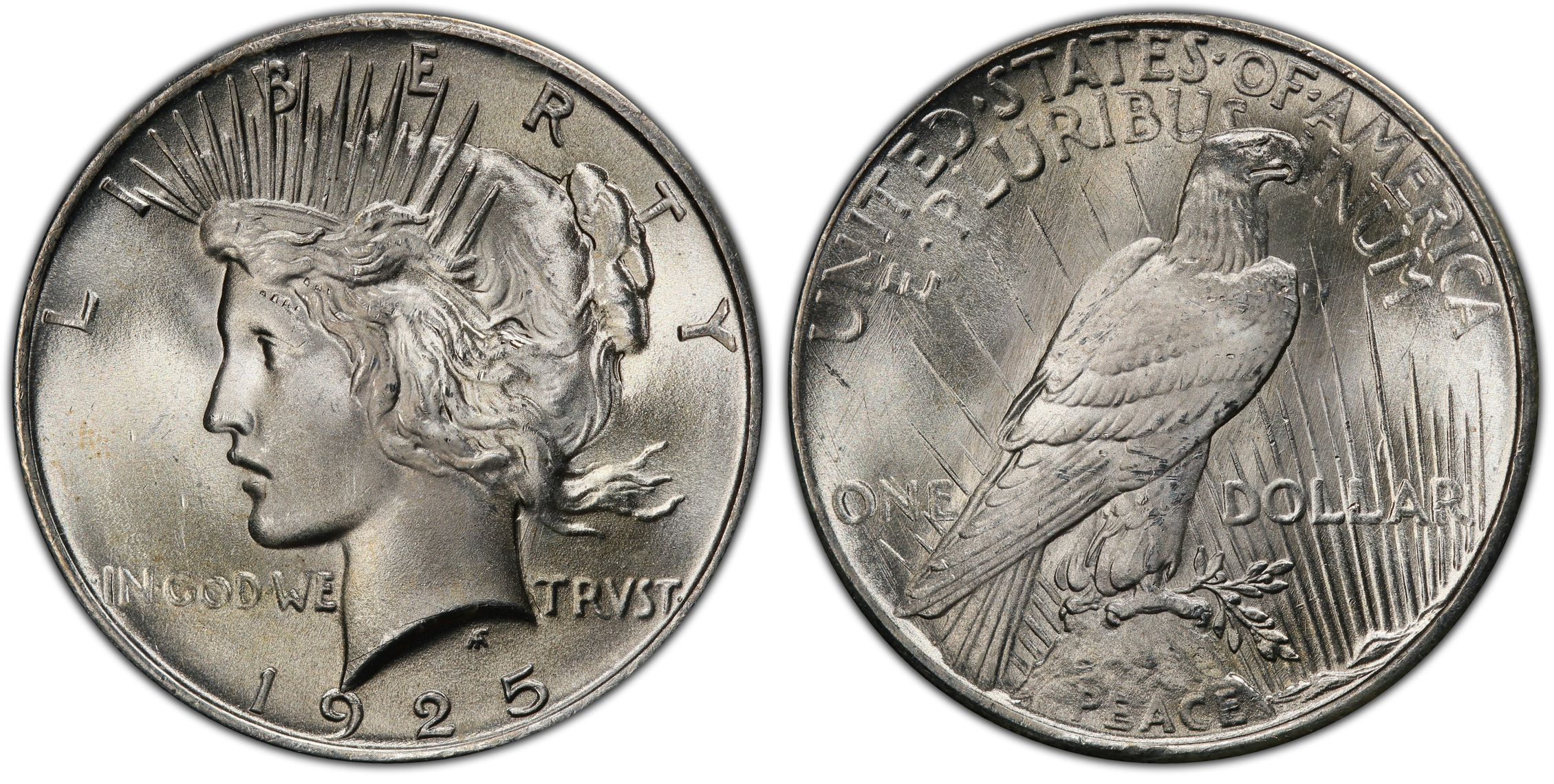 1925 $1 VAM 1T (5) Missing Ray TOP 50 (Regular Strike) Peace Dollar ...