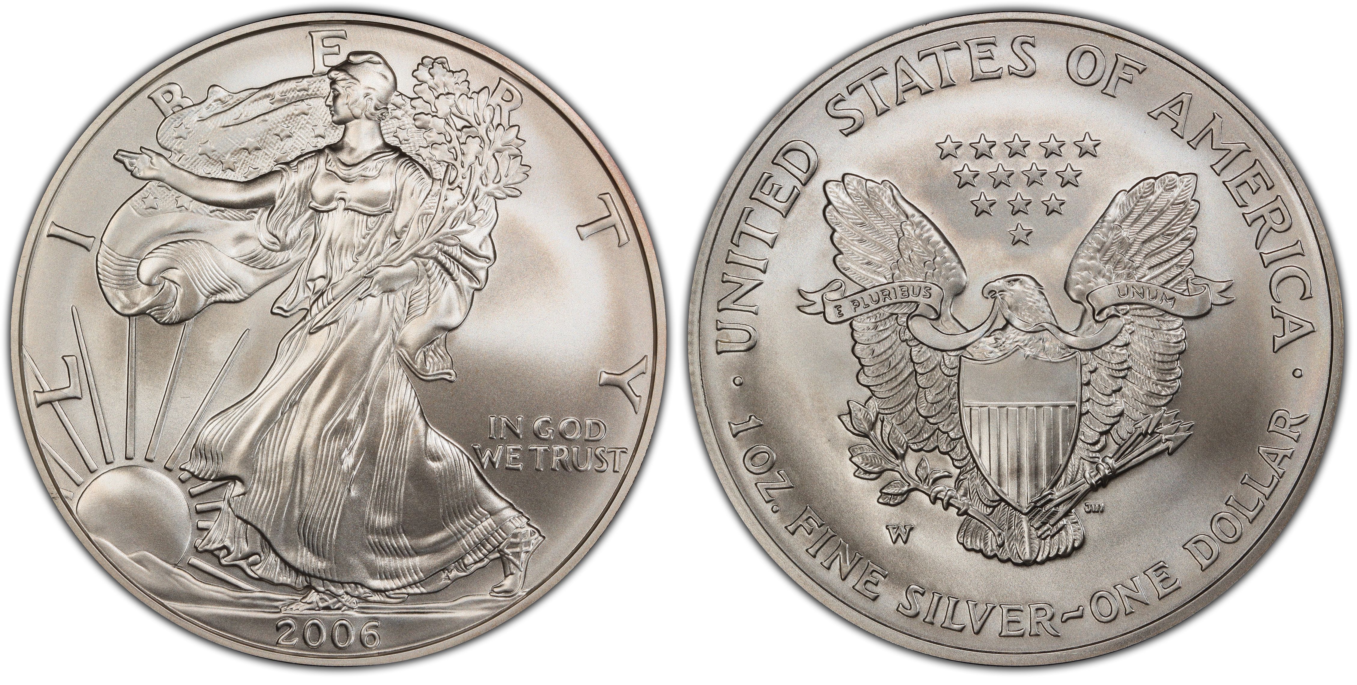 2006-W $1 Burnished Silver Eagle 20th Anniversary First Strike