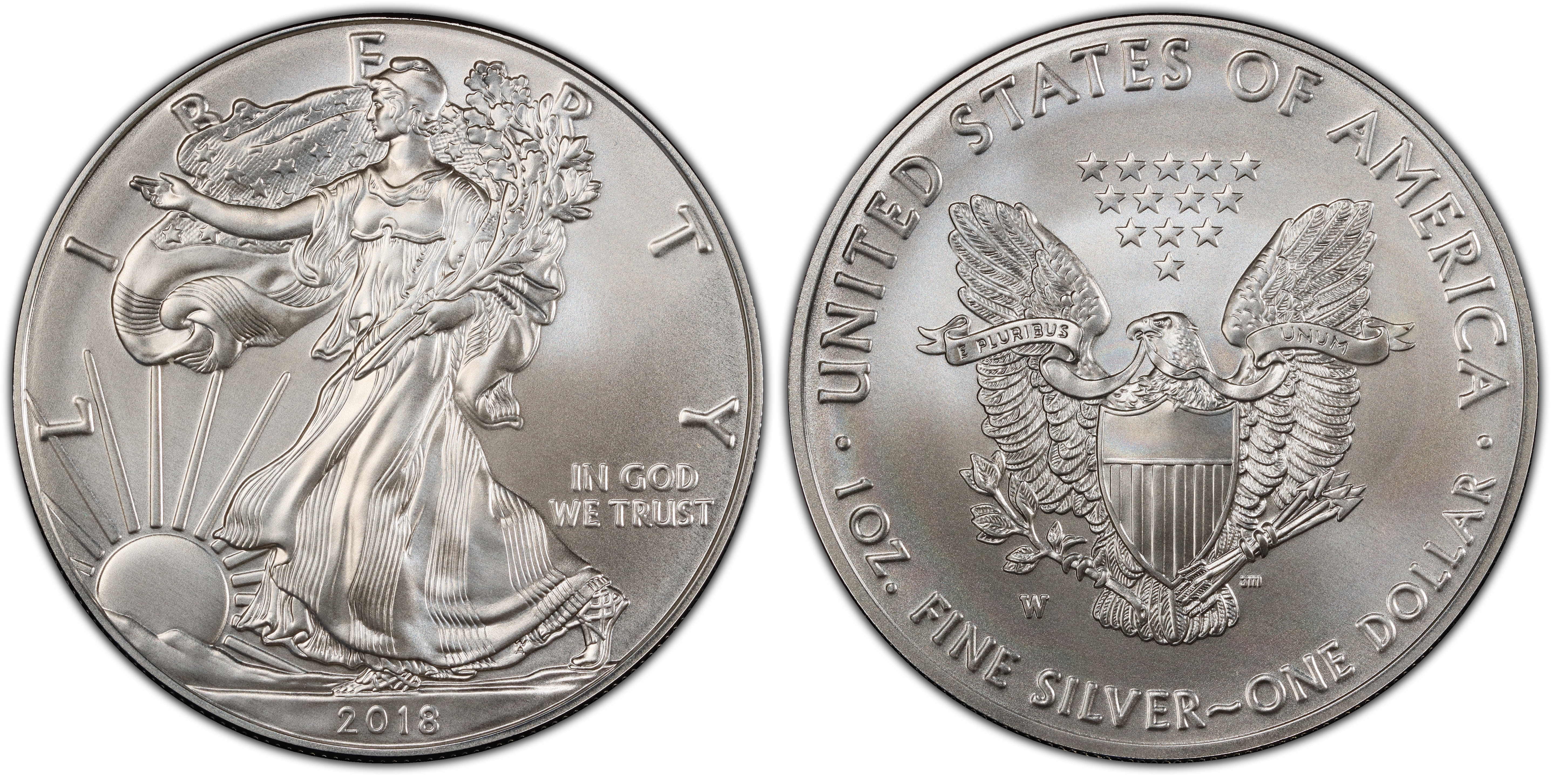 2018 W 1 Burnished Silver Eagle Special Strike Silver Eagles