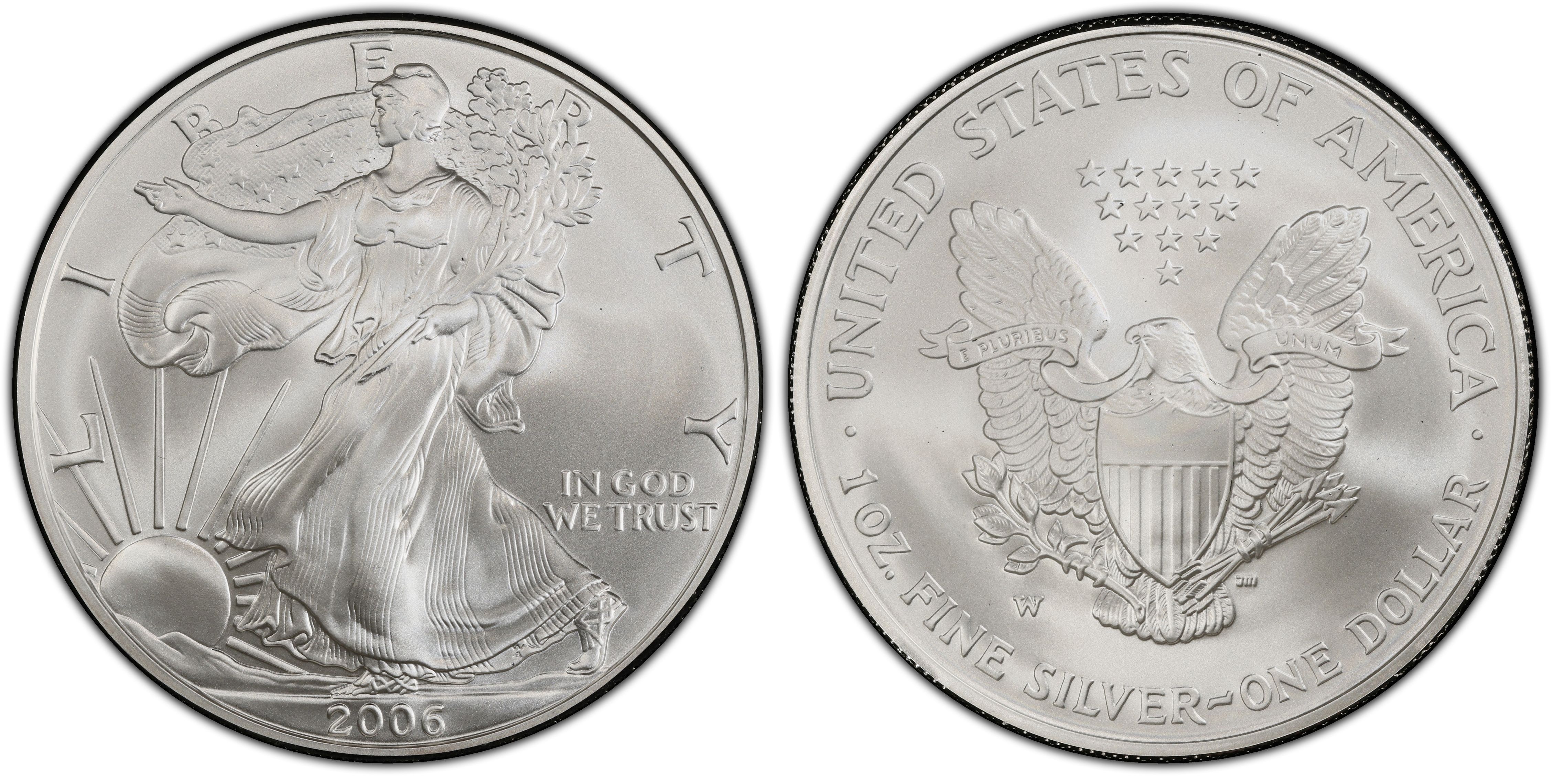 2006-W $1 Burnished Silver Eagle 20th Anniversary (Special Strike