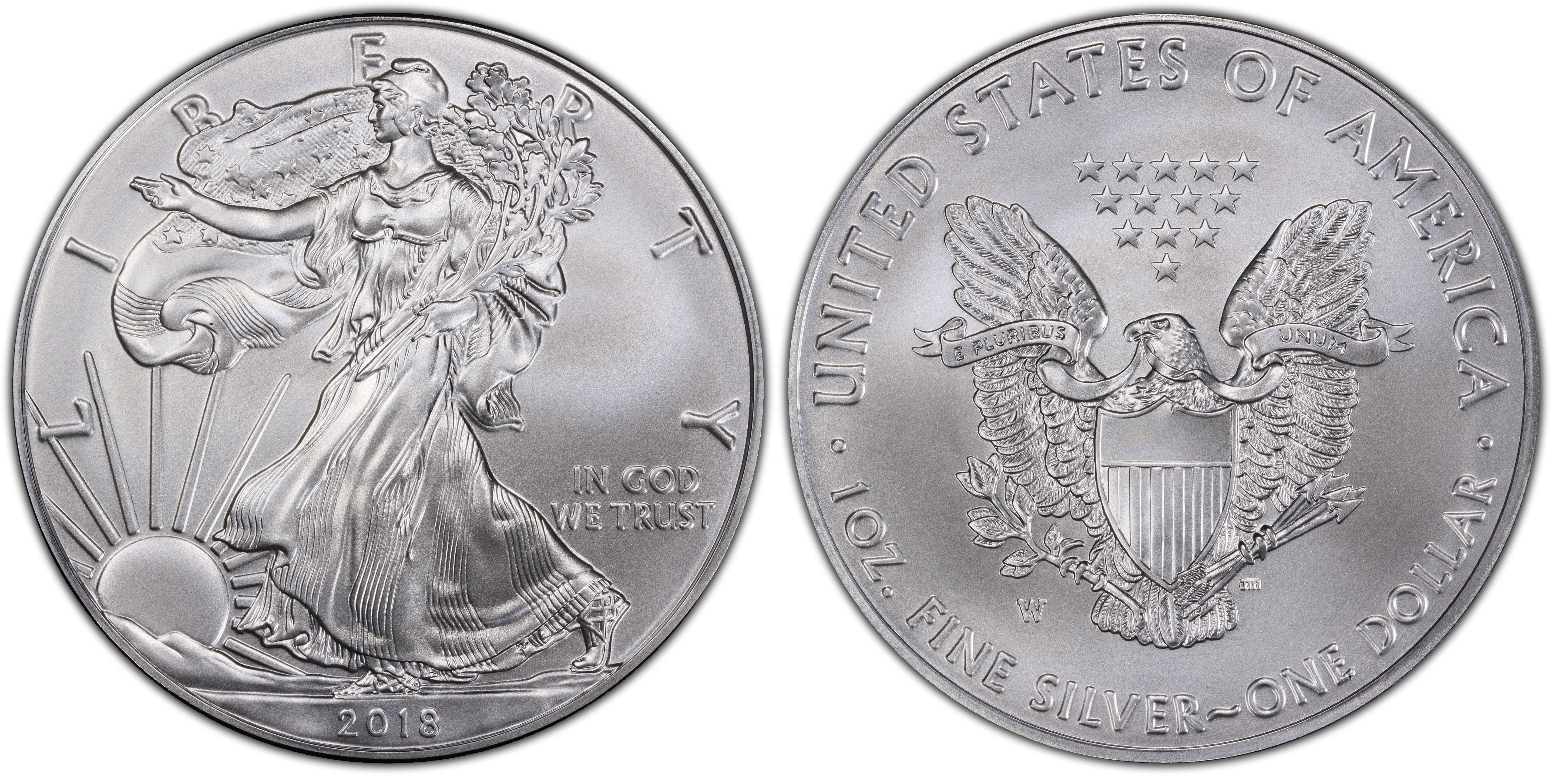 2018 W 1 Burnished Silver Eagle Special Strike Silver Eagles