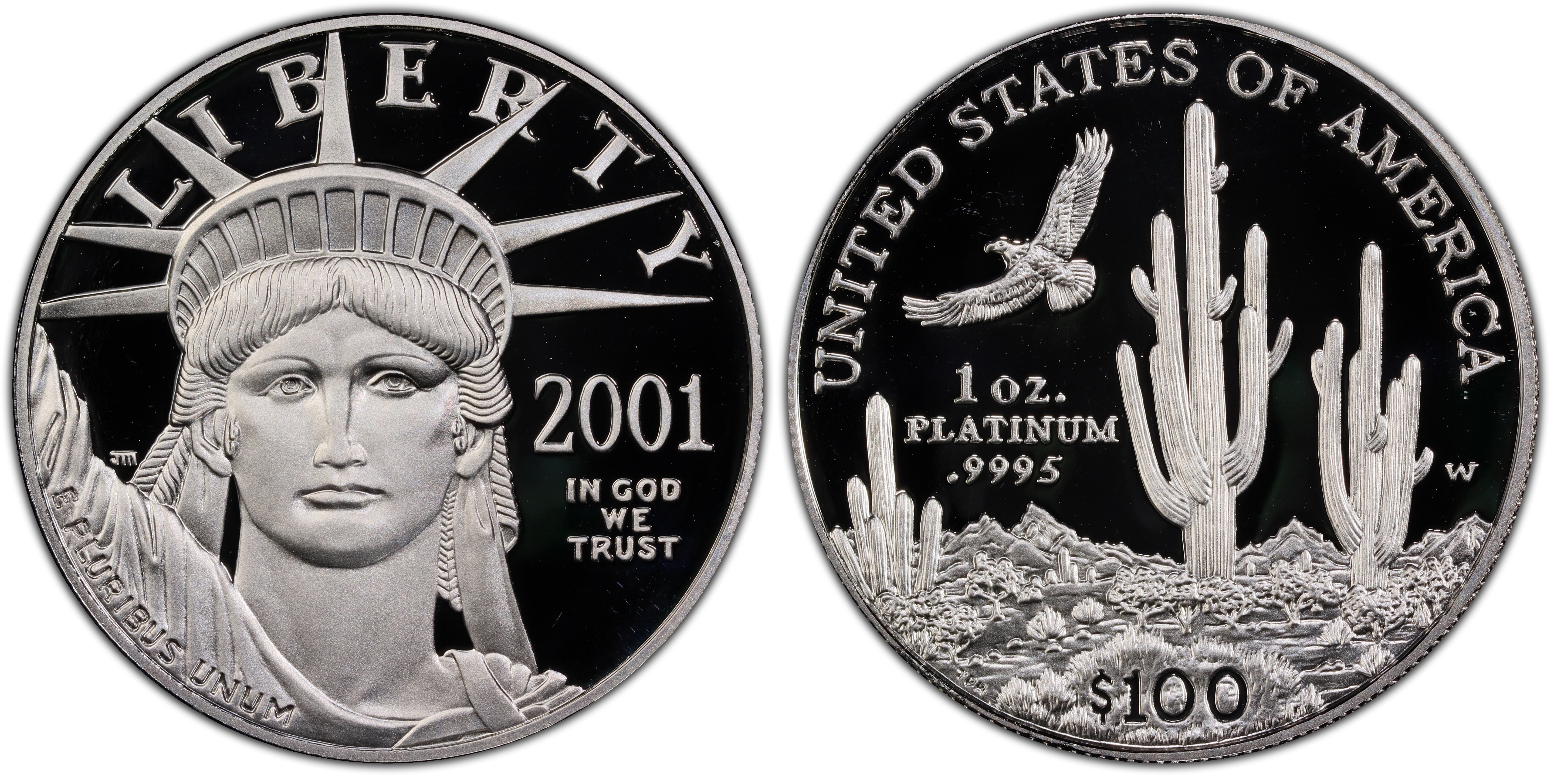 2001-W $100 Statue of Liberty, DCAM (Proof) Platinum Eagles - PCGS