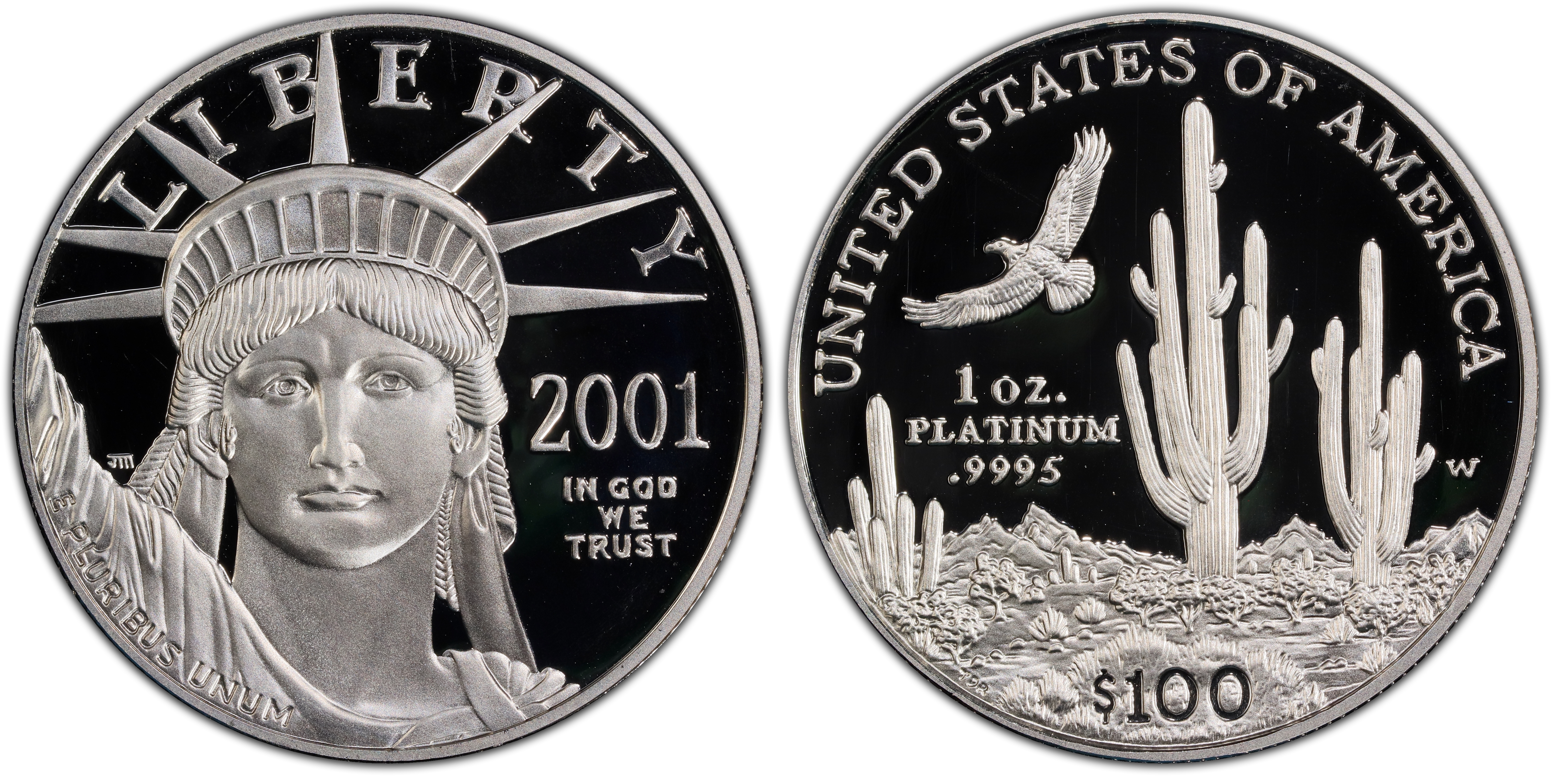 2001-W $100 Statue of Liberty, DCAM (Proof) Platinum Eagles - PCGS