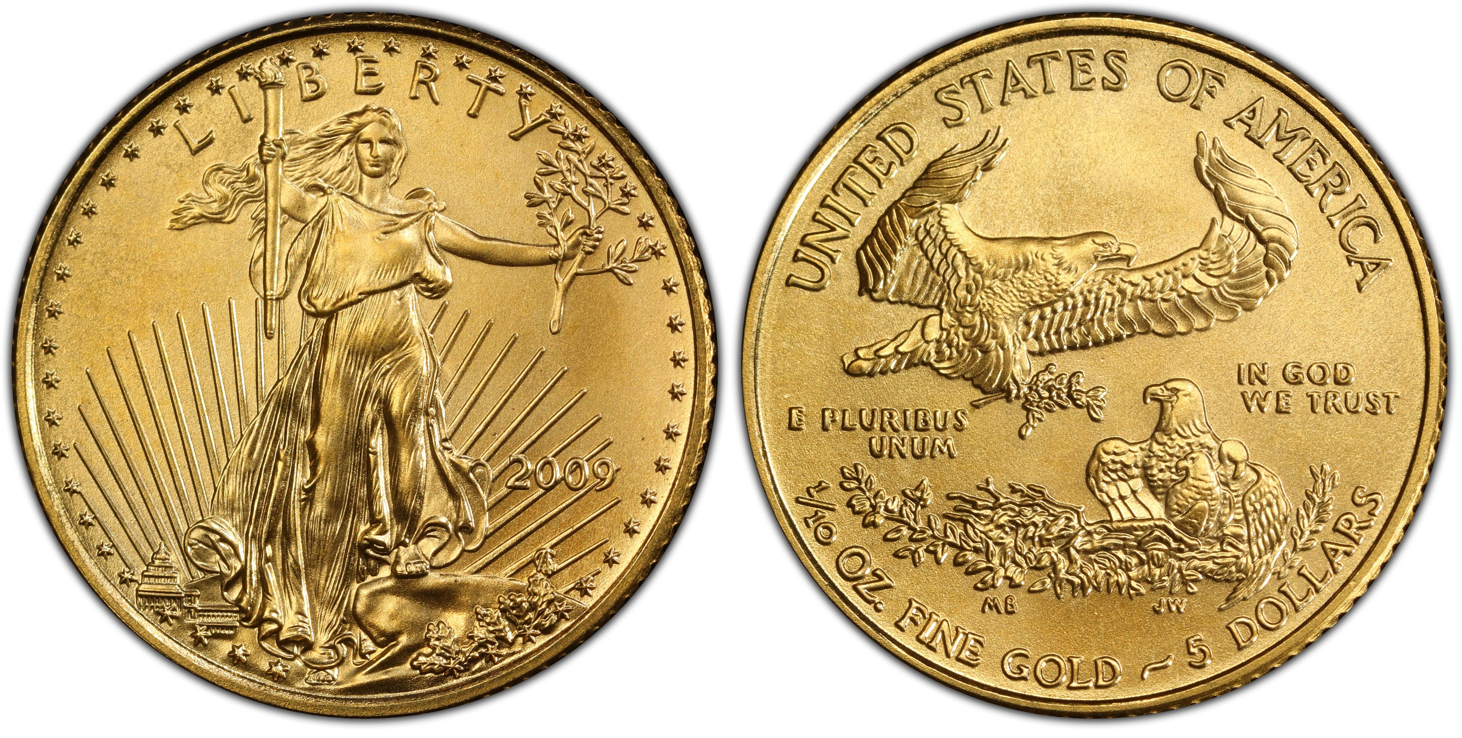 2009/アメリカ/イーグル/金貨/ゴールドイーグル/5ドル/PCGS/MS70