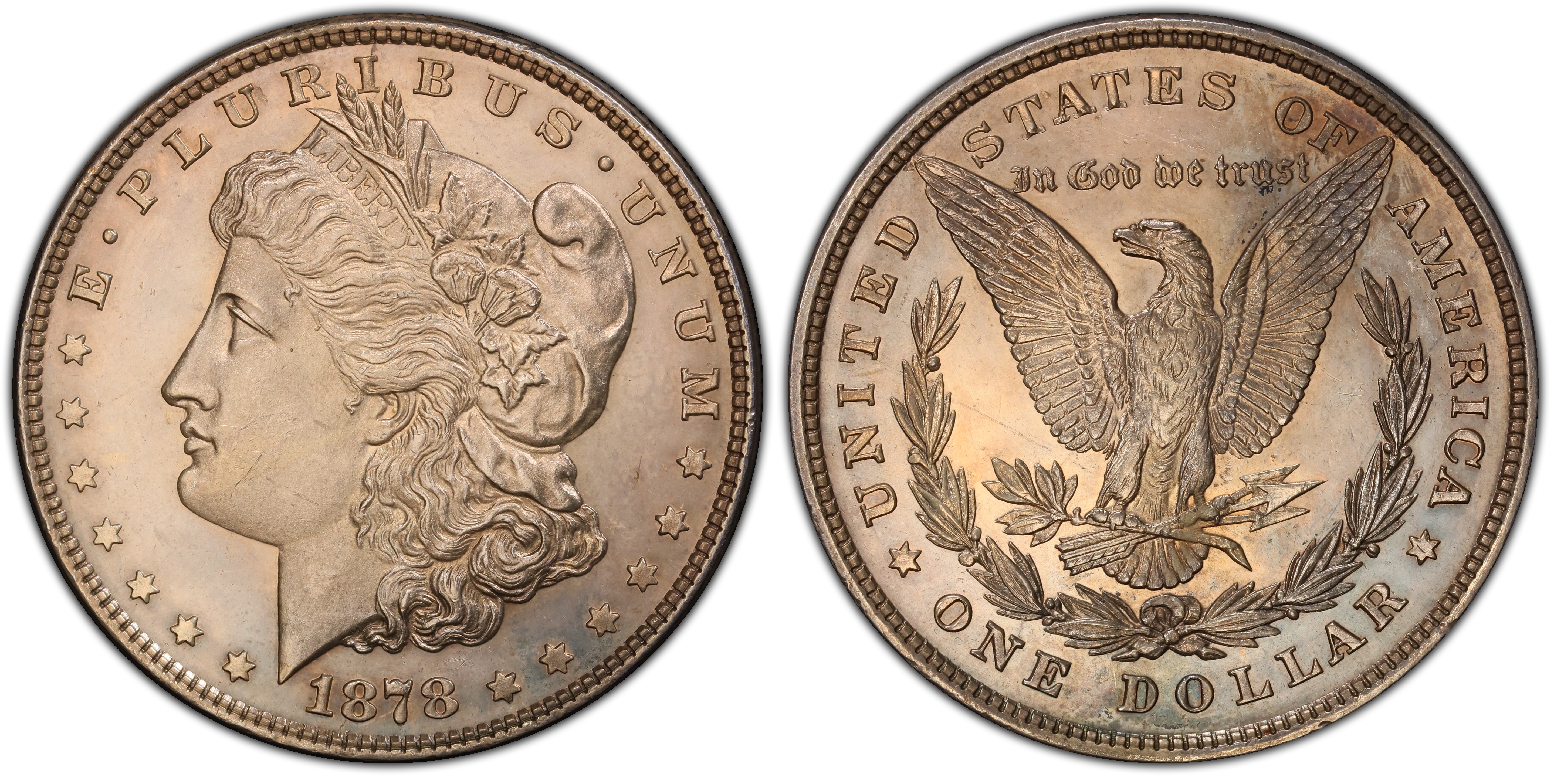 1878 8TF $1 VAM 14.13, Doubled Eyelid (Special Strike) Morgan 