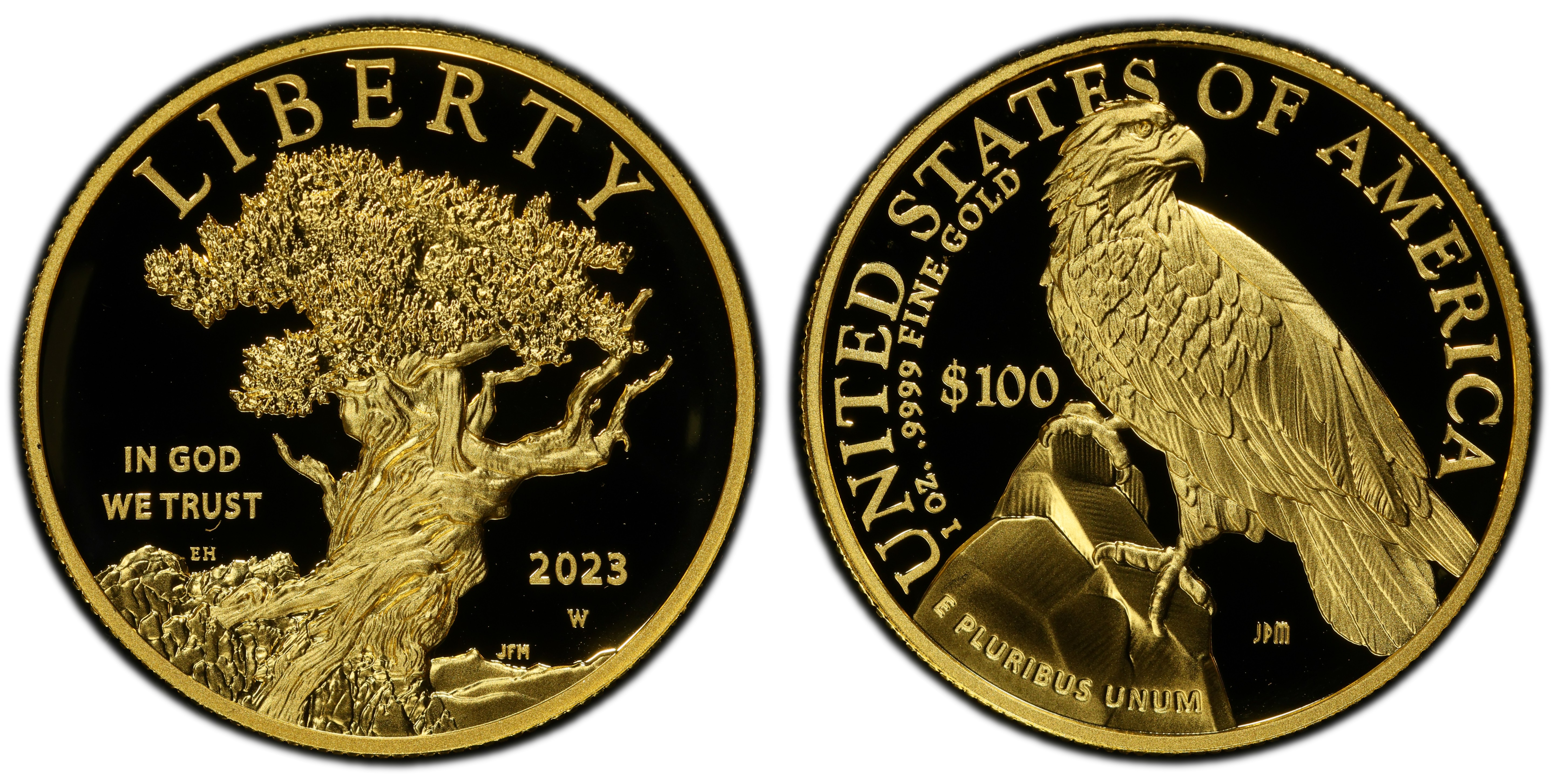 2023-W $100 American Liberty High Relief .9999 Fine First