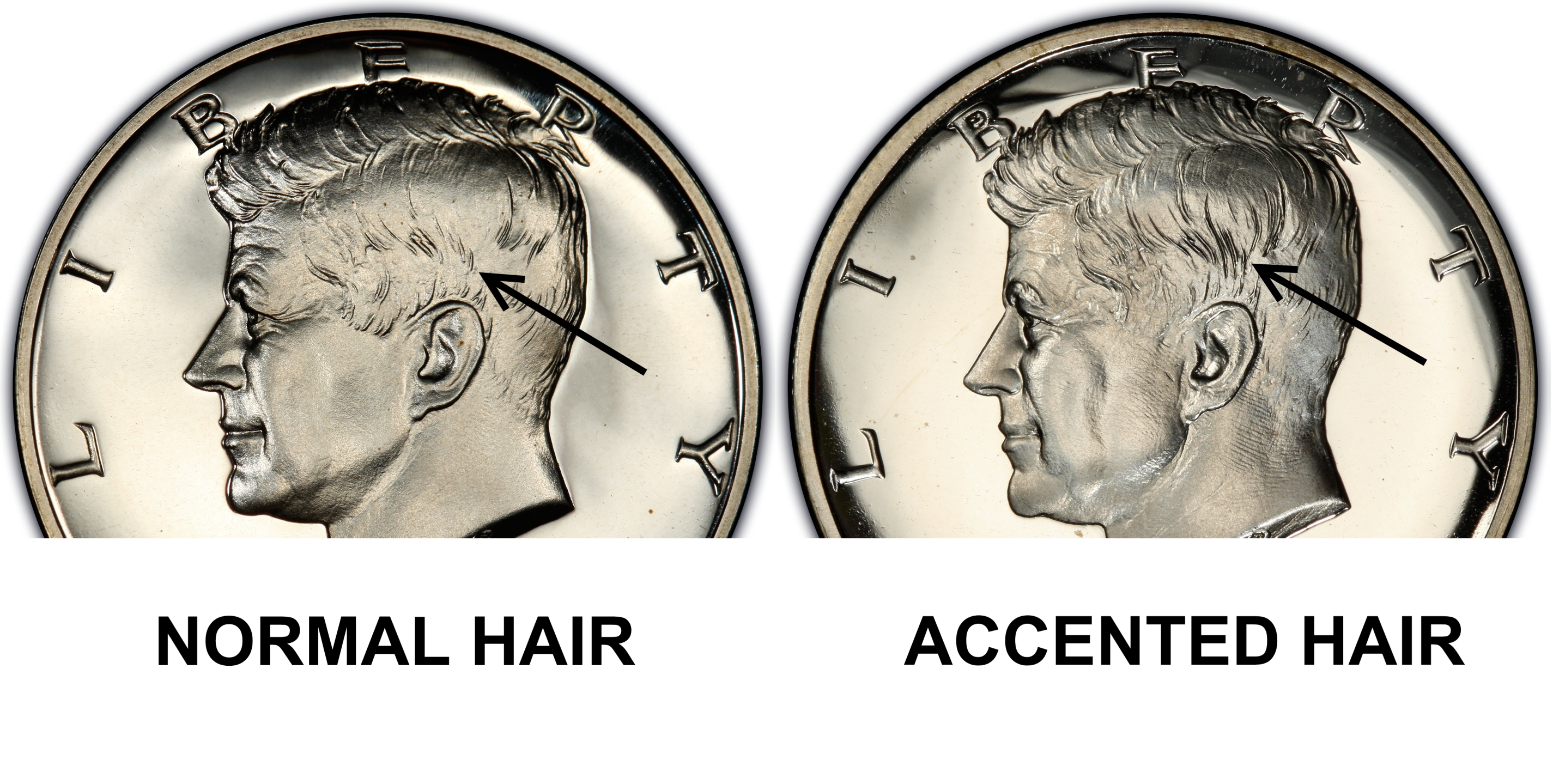 1964 Kennedy Half Dollar Accented Hair Value Chart