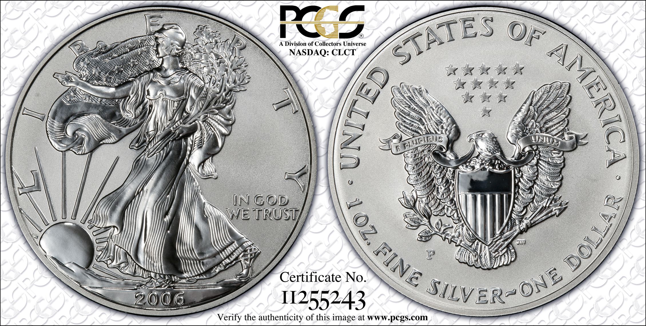 PCGS 2006-P PR69 20TH ANNIVERSARY REVERSE PROOF SILVER EAGLE ANNIV